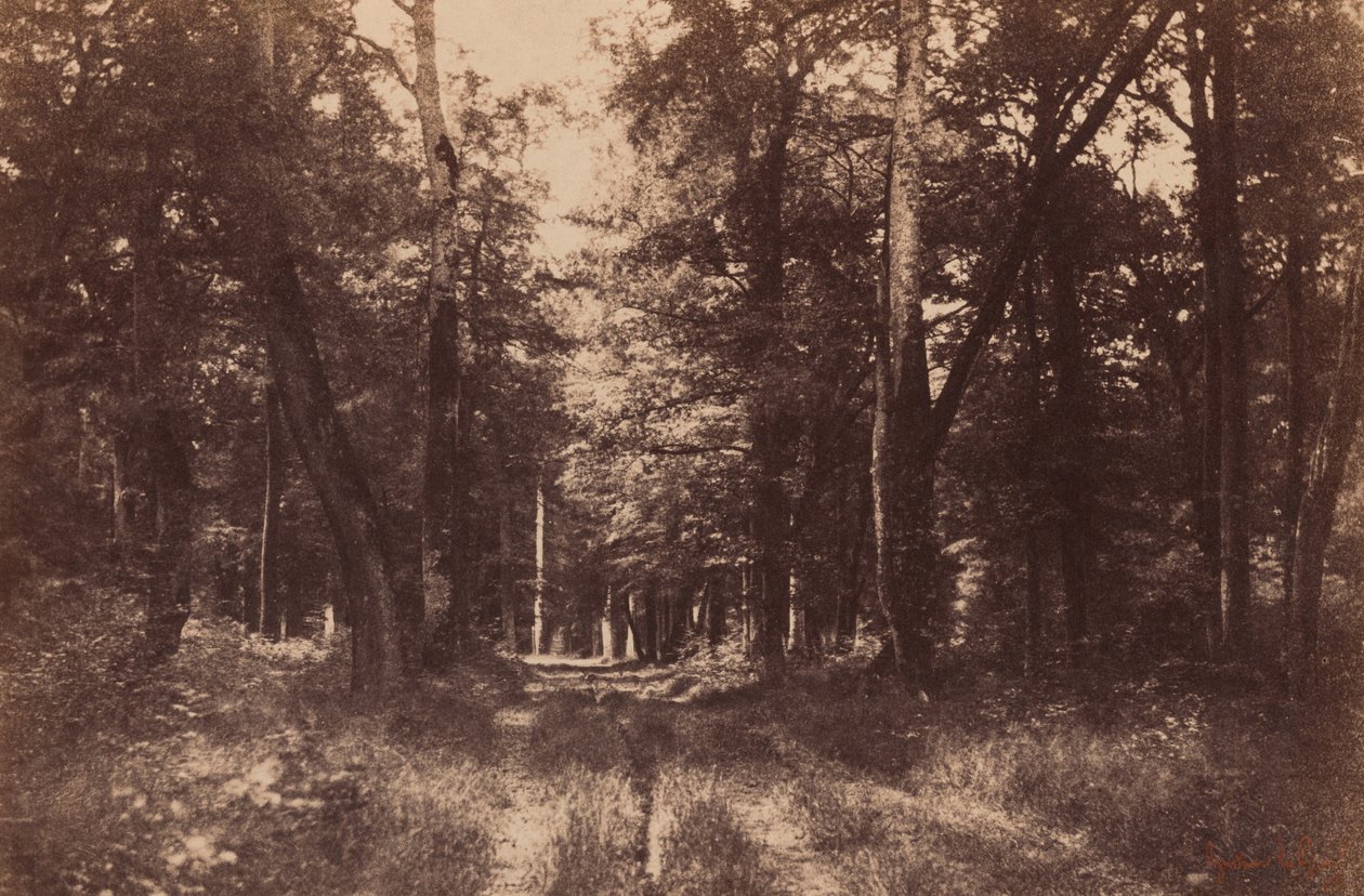  by Gustave Le Gray