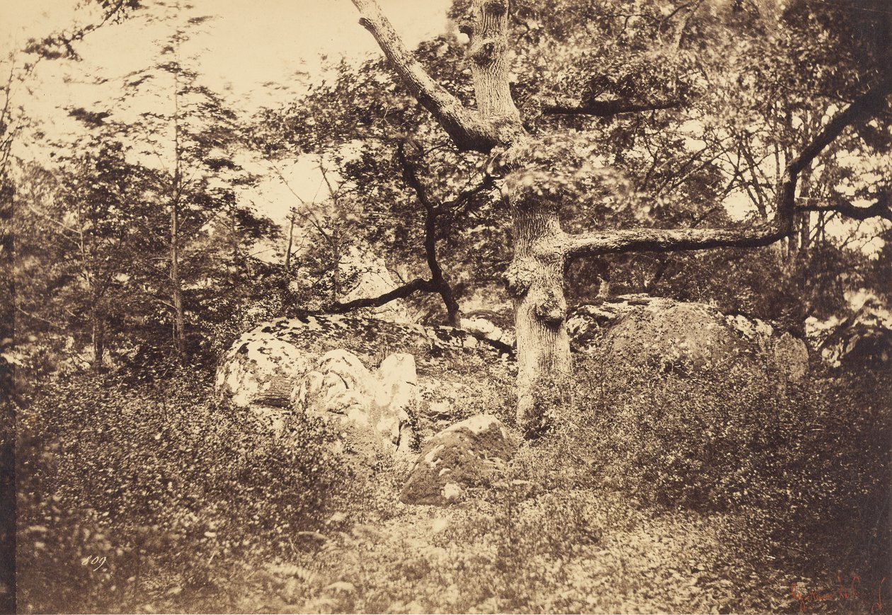  by Gustave Le Gray