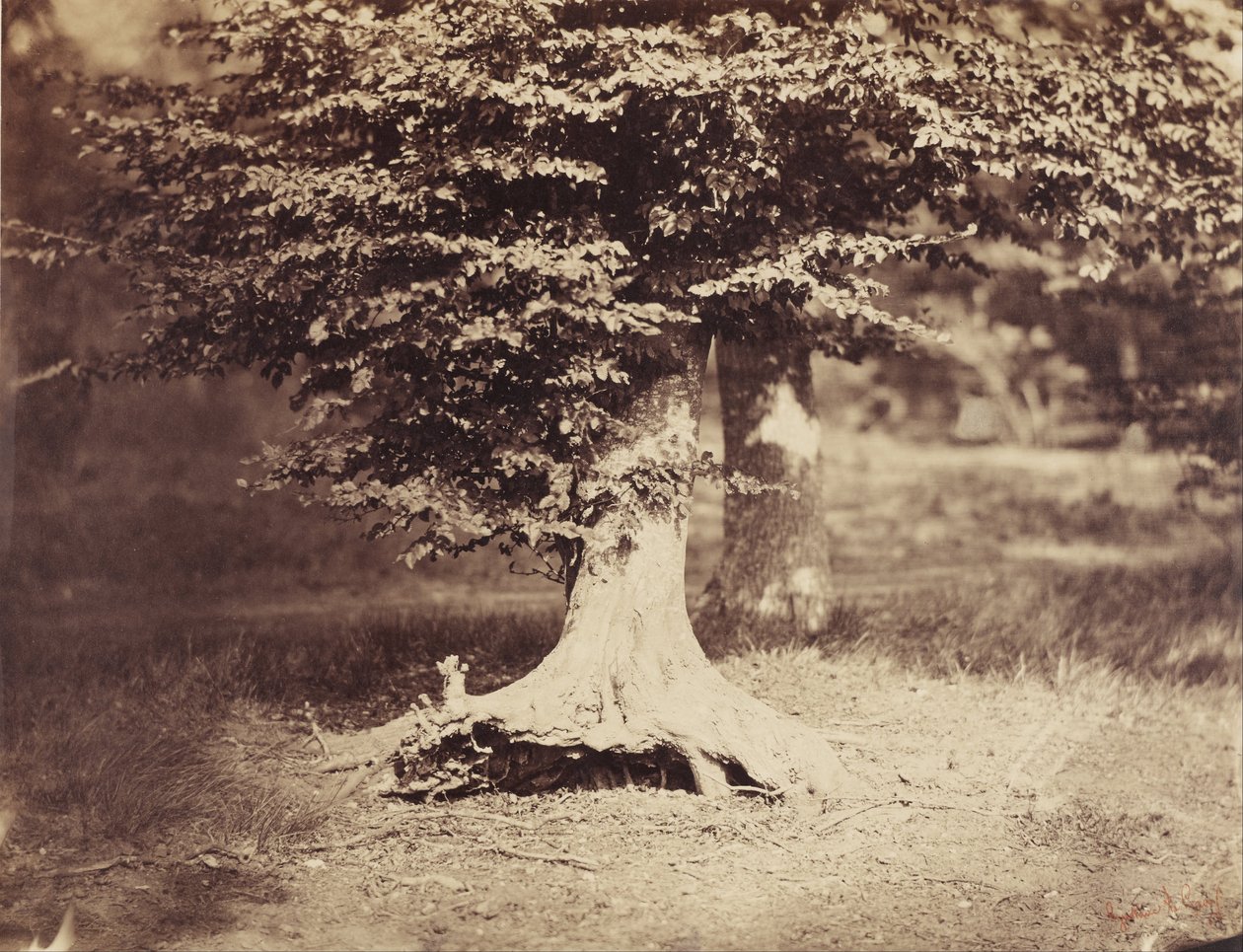  by Gustave Le Gray