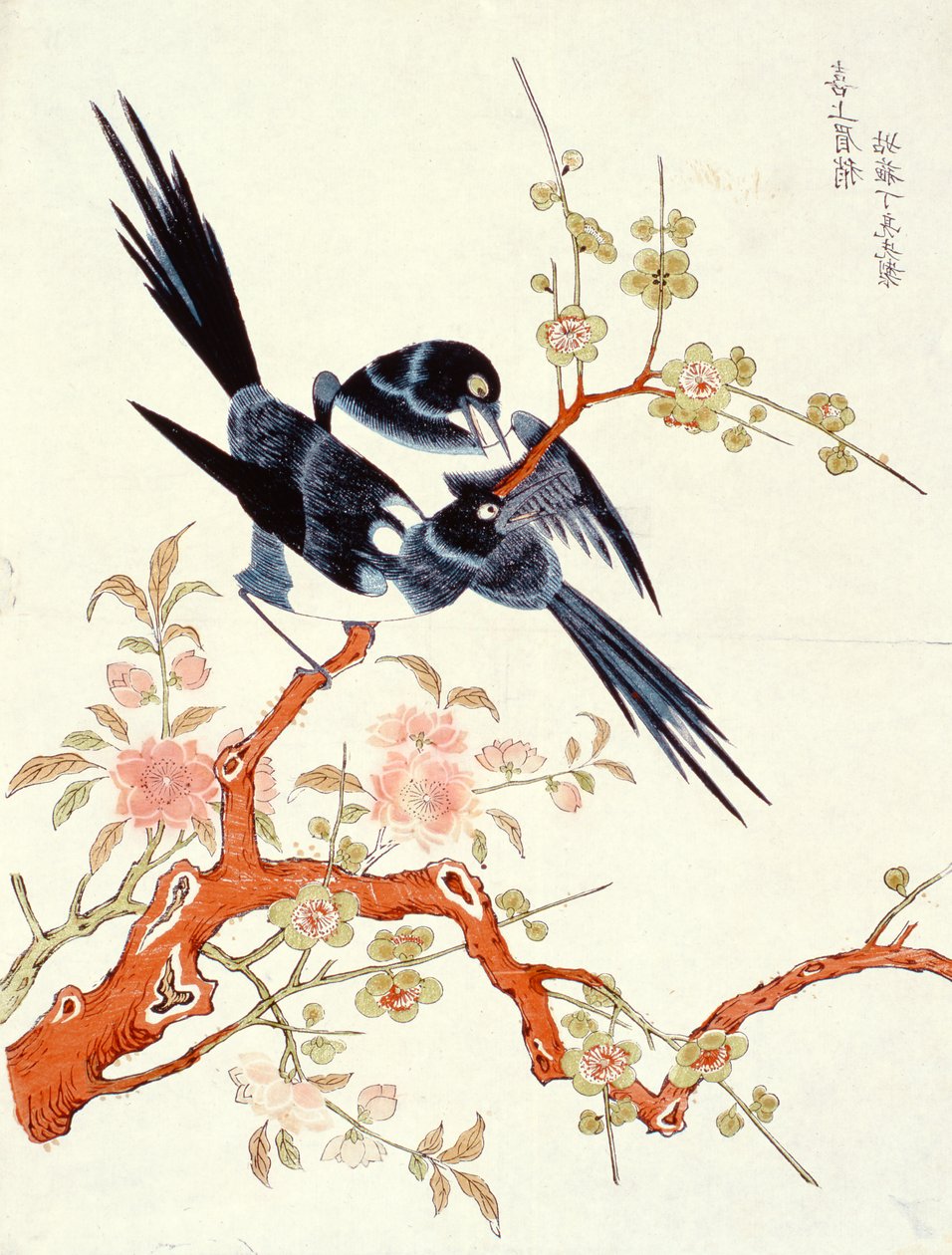 Xishang meixiao (Mutlu görünüyor) Suzhou (renkli tahta baskı) by Gusu Ding Liangxian