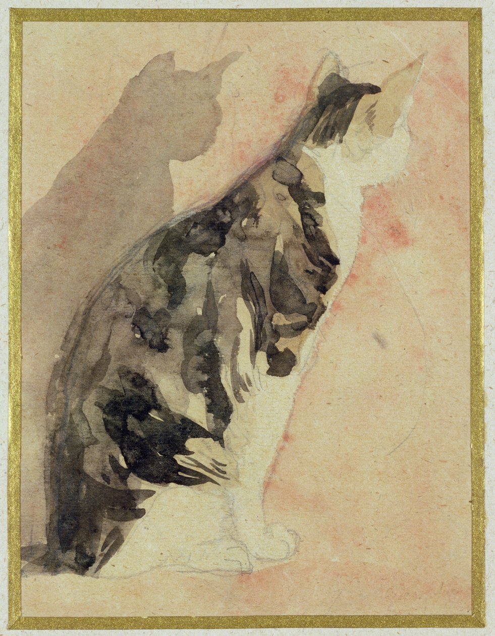 Kedi Çalışması by Gwen John