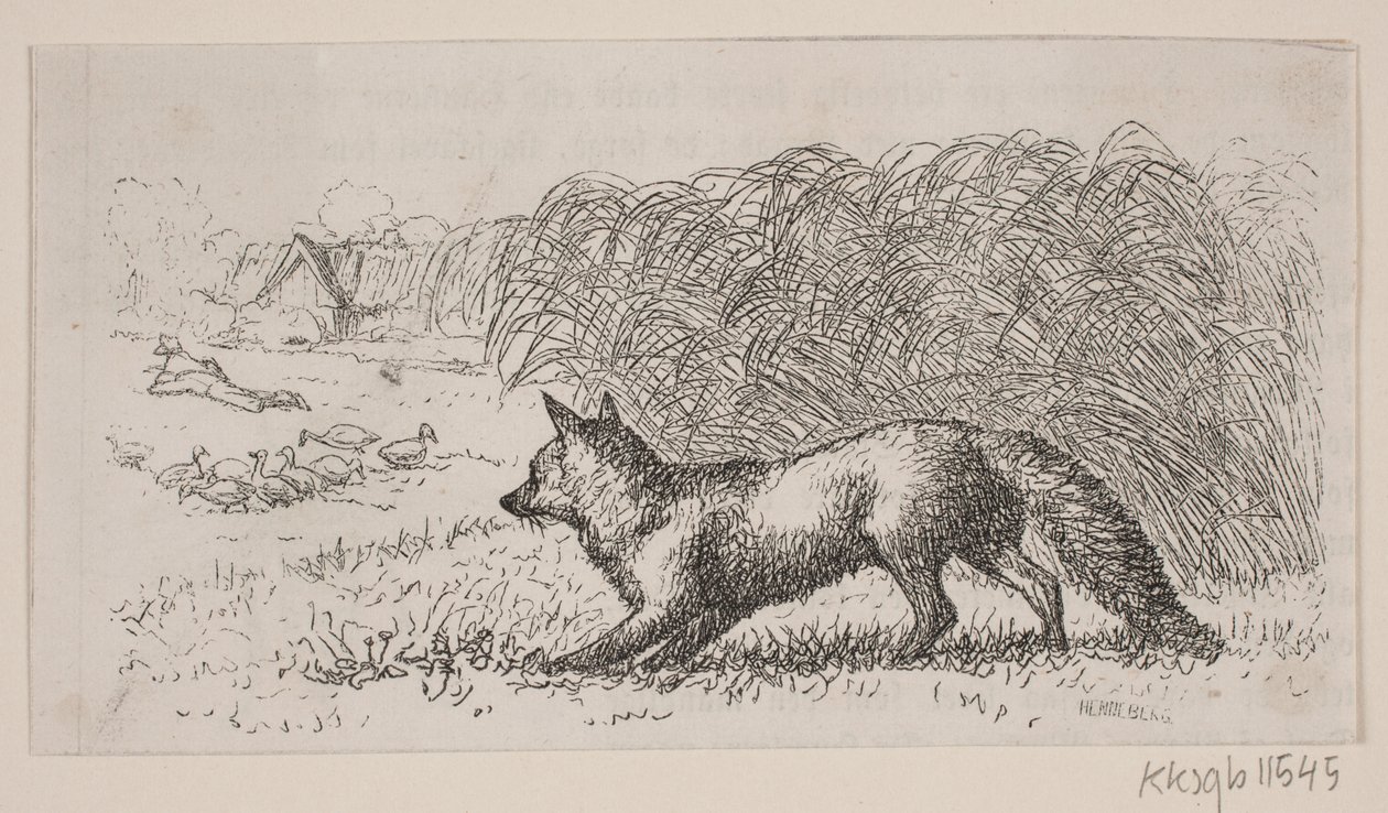 İllüstrasyon: "Bay Mikkel" by H. C. Henneberg
