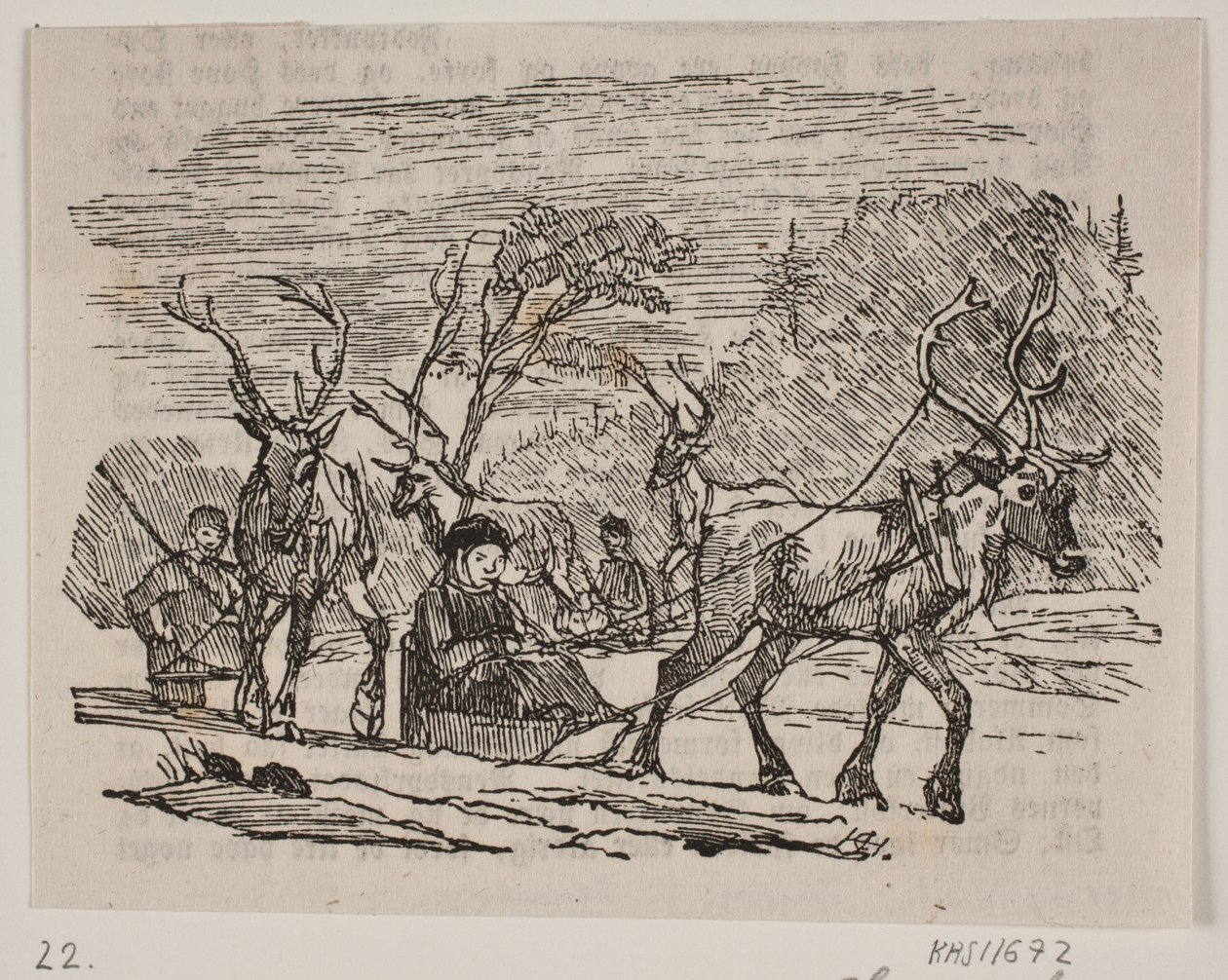 Ren geyiği ile kızak by H. C. Henneberg
