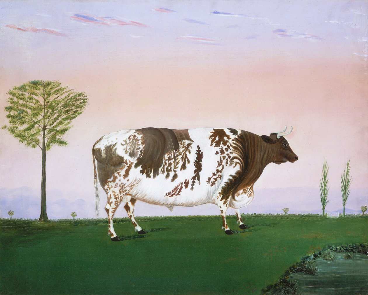 ödüllü boğa by H. Call
