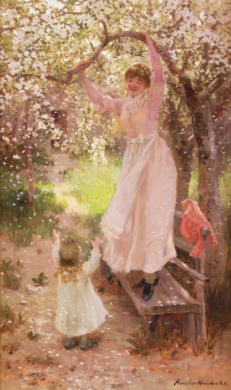 Düşen Elma Çiçekleri by Hamilton Hamilton