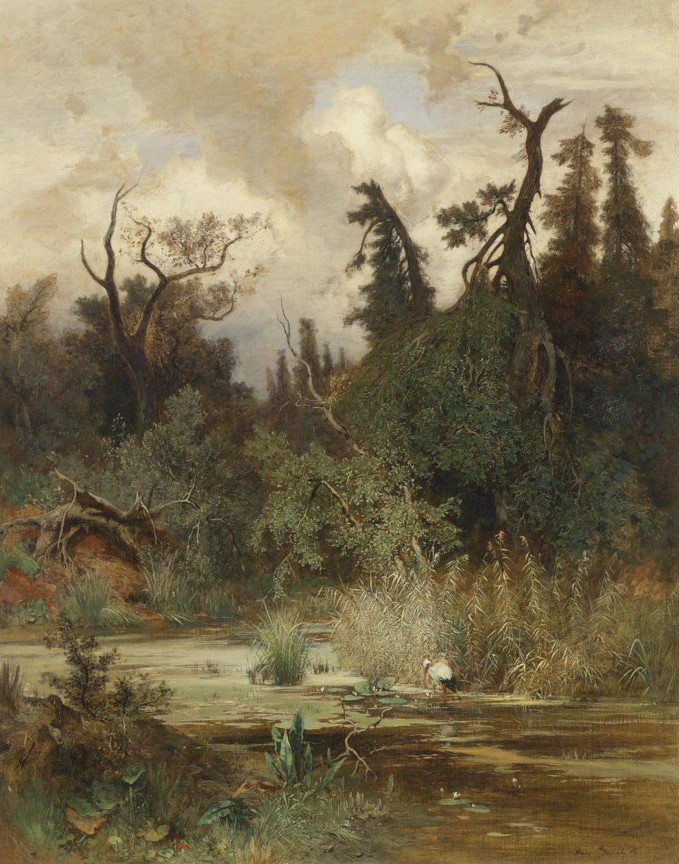 Alüvyal ormanda yaz by Hans Schühly