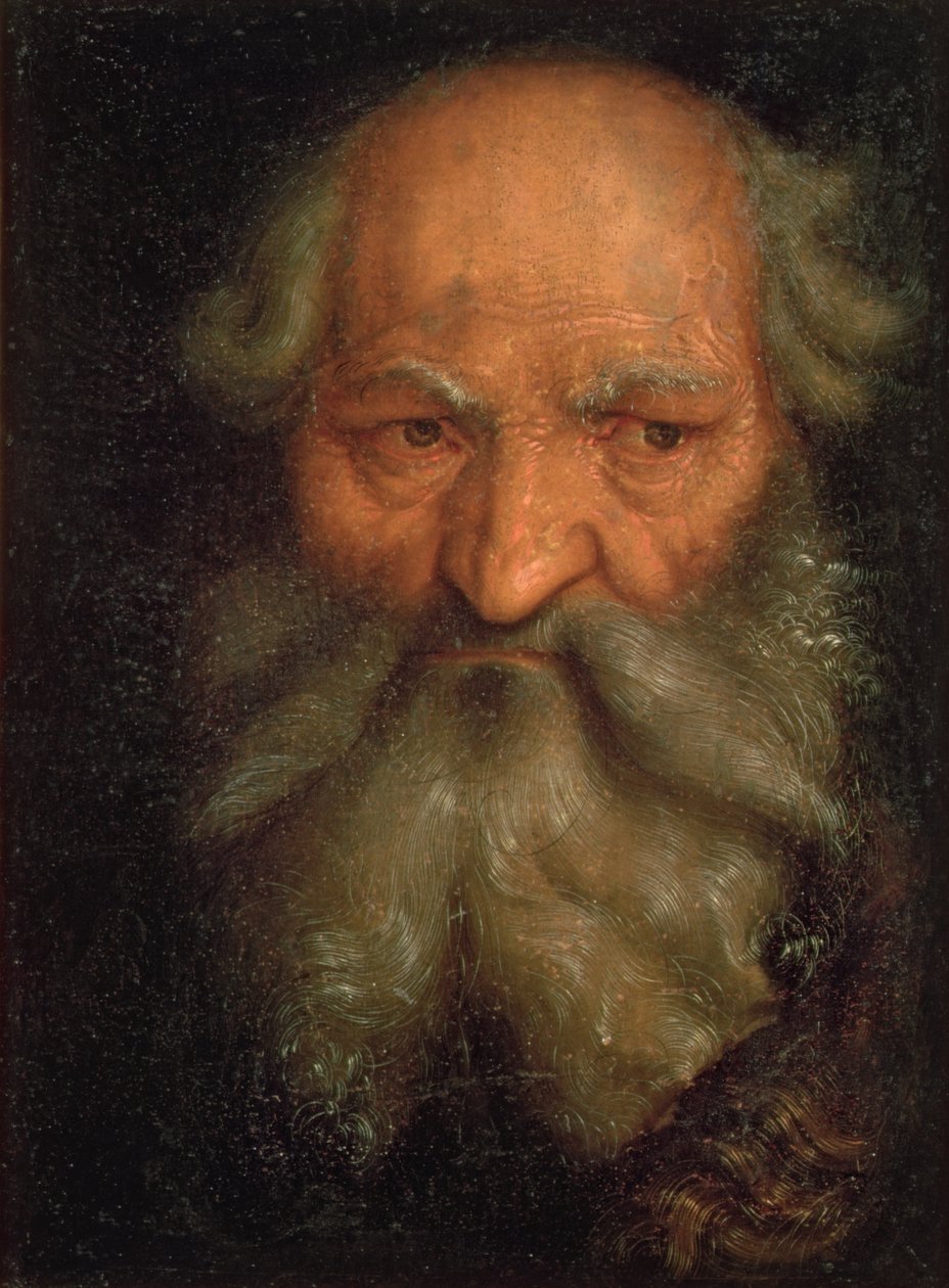 ಓಲ್ಡ್ ಮಂಟುರ್ಕ್‌ನ ಮುಖ್ಯಸ್ಥ by Hans Baldung Grien