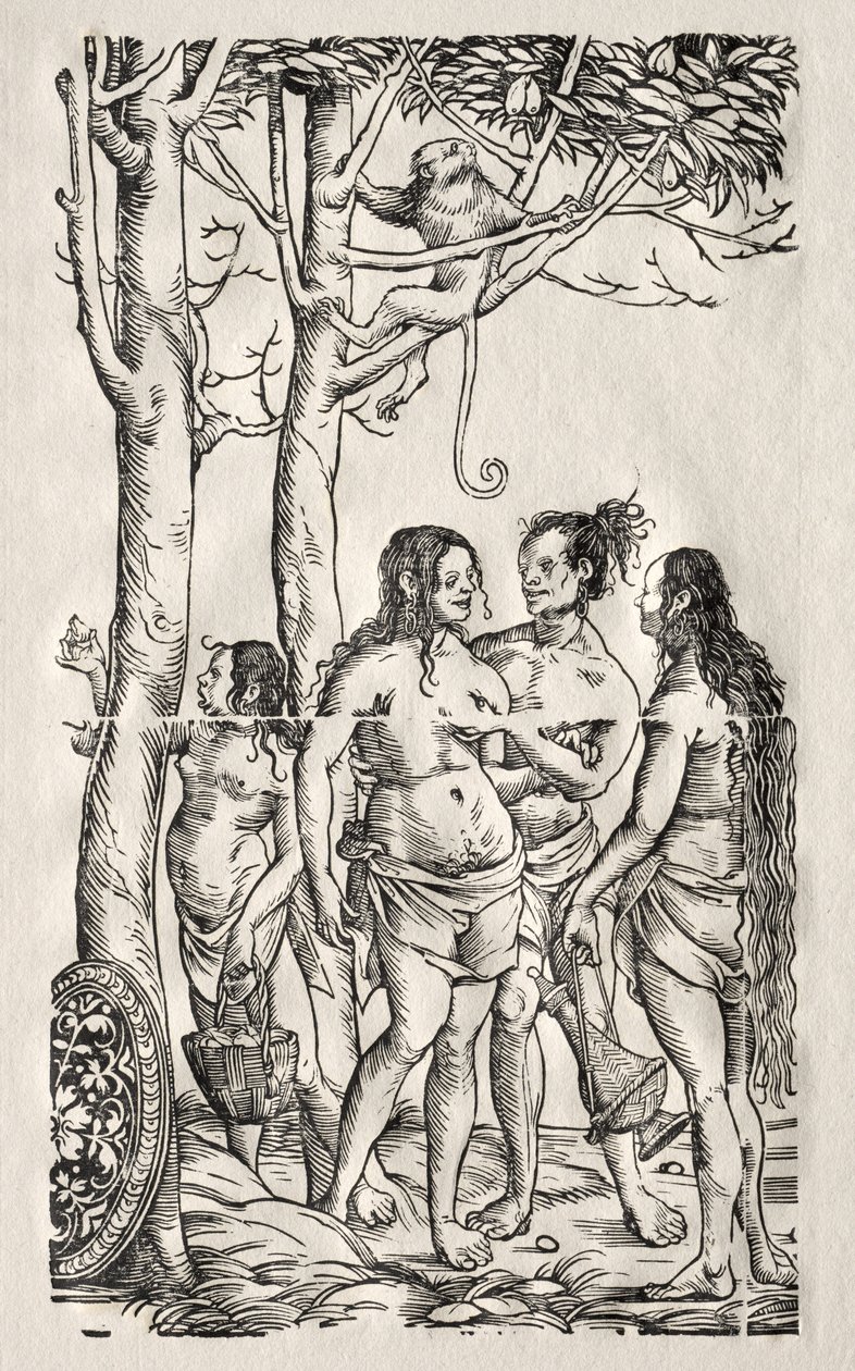 Sürü ile Hottentots by Hans Burgkmair