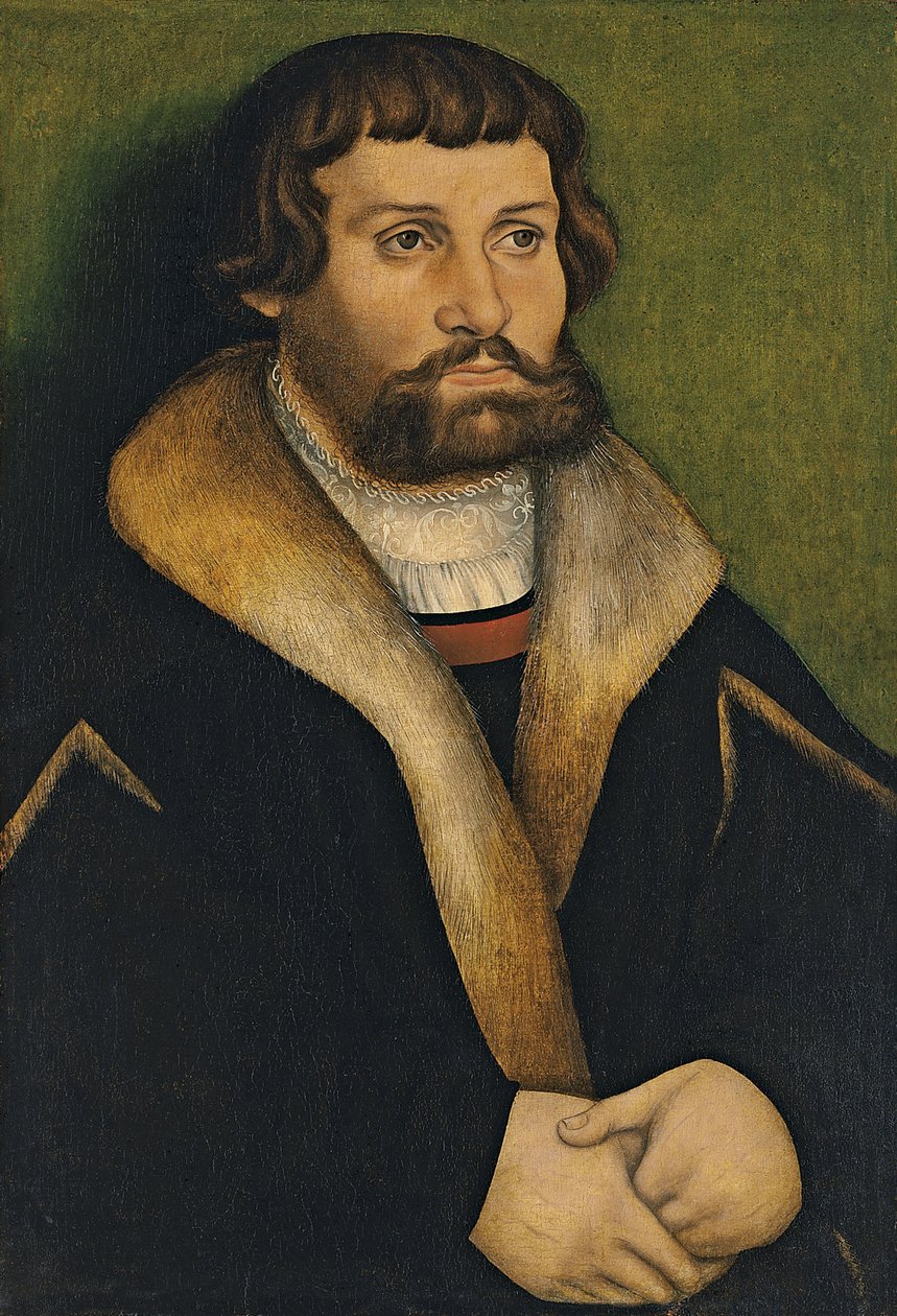 sakallı bir adam portresi by Hans Cranach