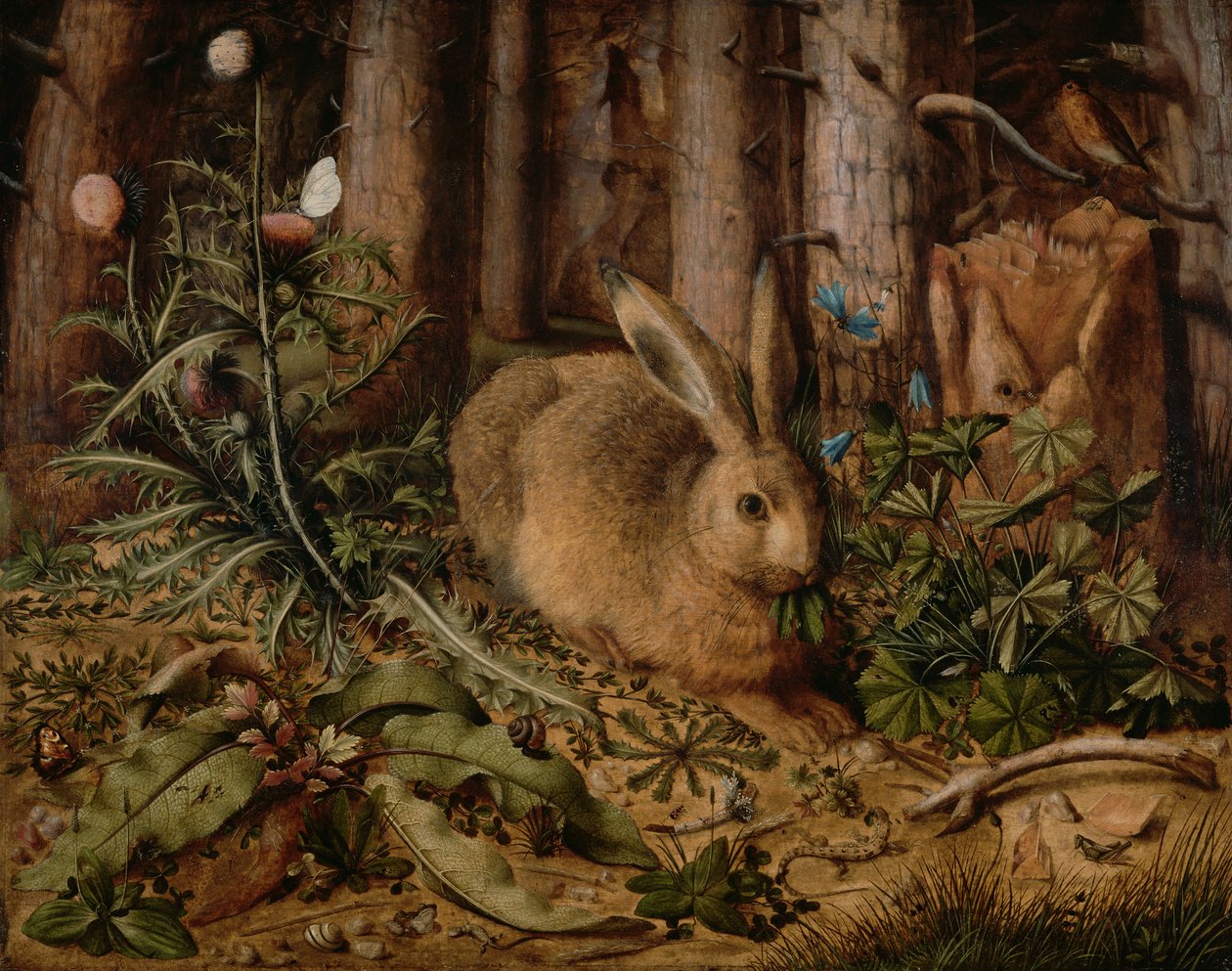  by Hans Hoffmann