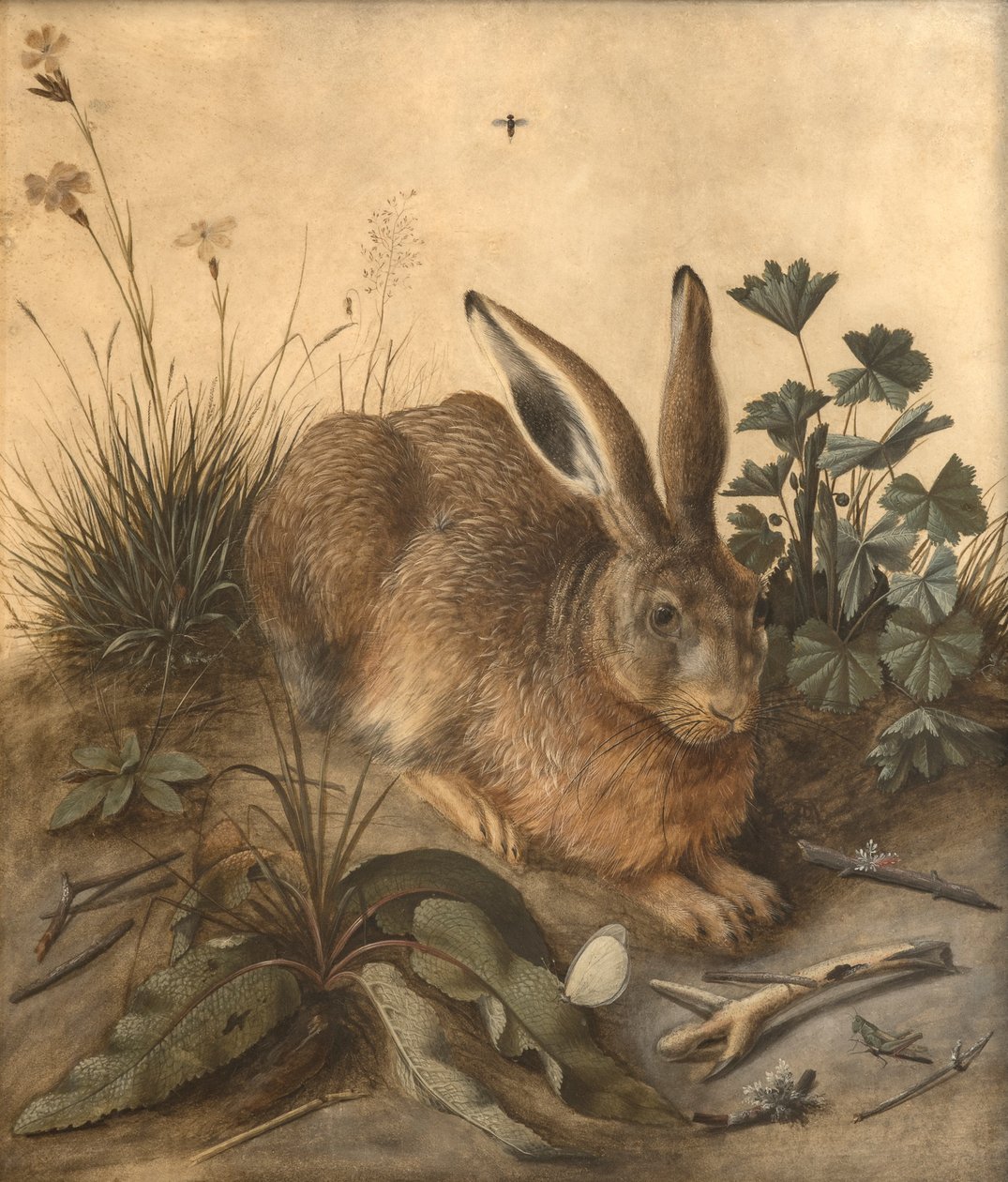  by Hans Hoffmann
