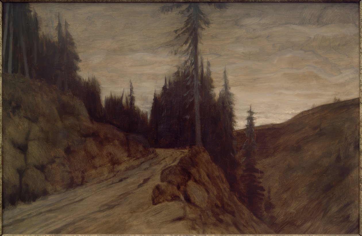 Alacakaranlıkta ladin ağaçları by Hans am Ende