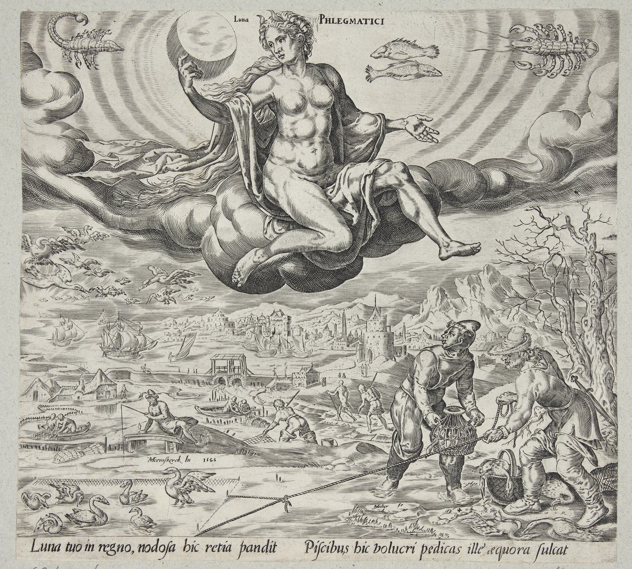 balgamlı mizaç by Harmen Jansz. Muller