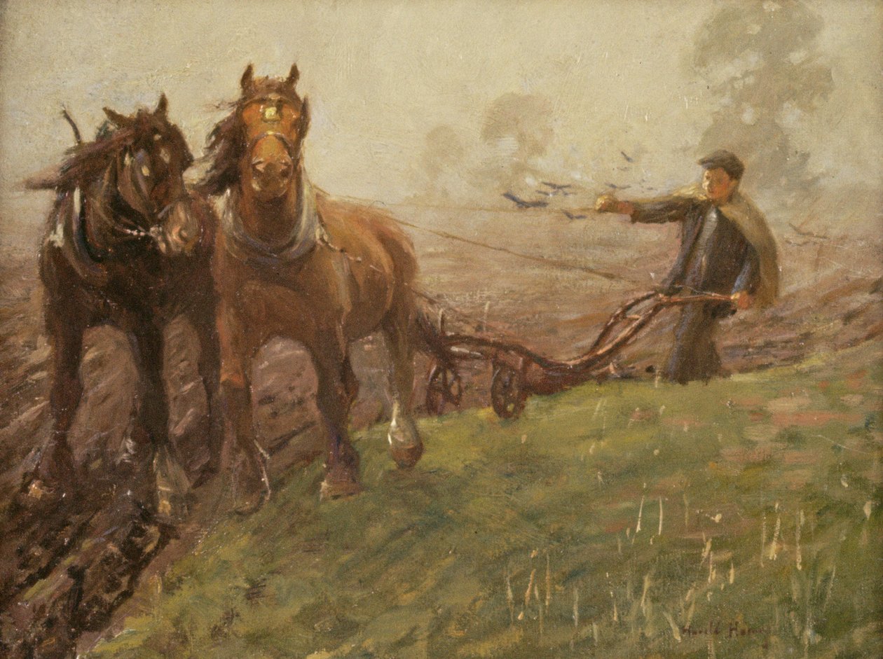 Tarla süren adam by Harold Harvey