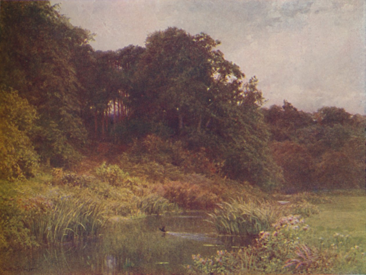 Bir Dere, 1910 by Harold Sutton Palmer