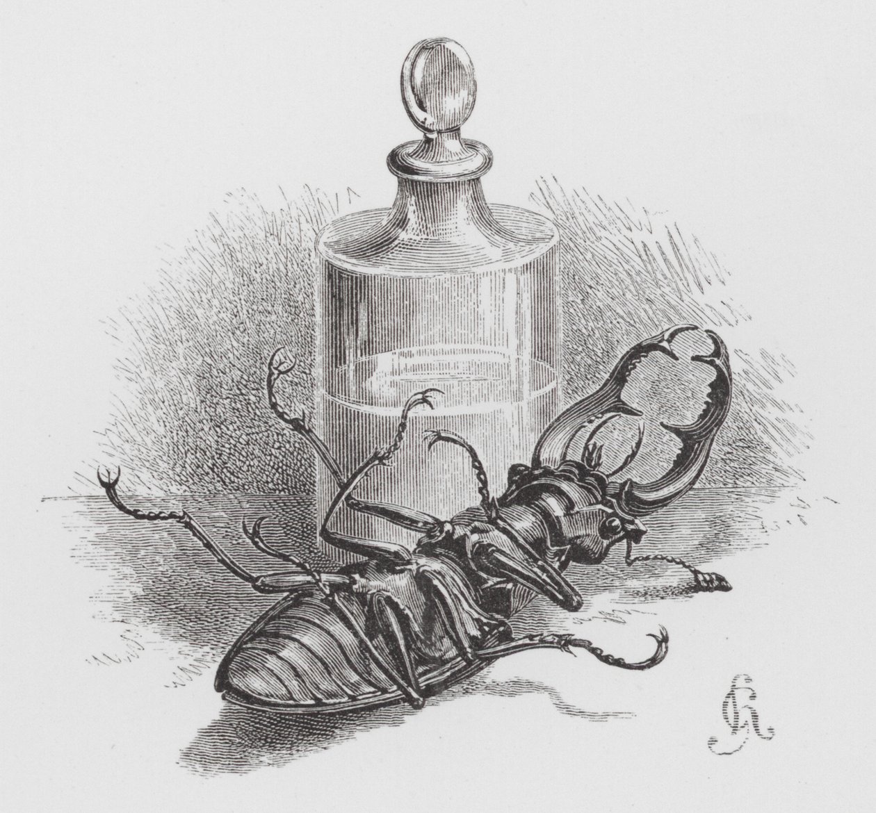 Böcek: Ölü böcek (gravür) by Hector Giacomelli