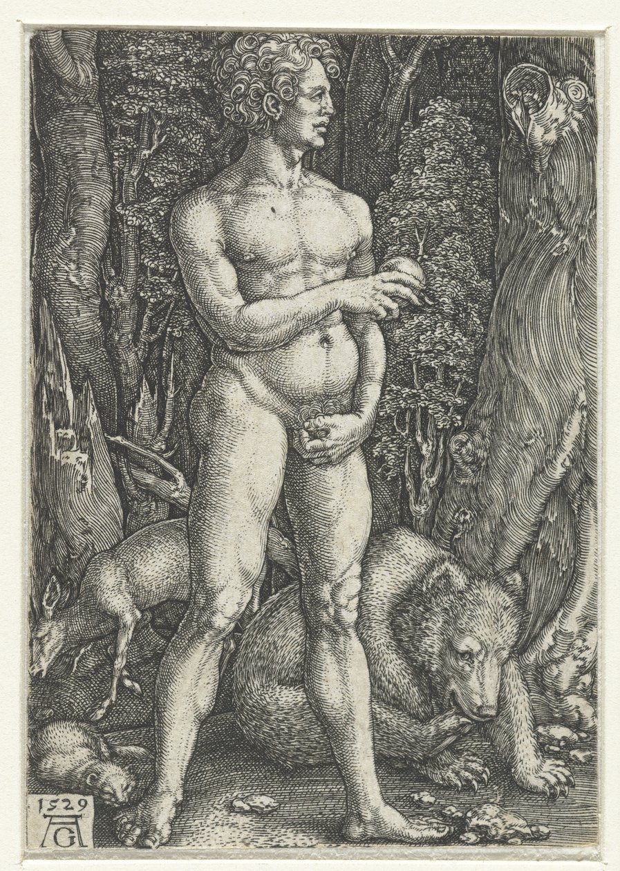 Adem by Heinrich Aldegrever