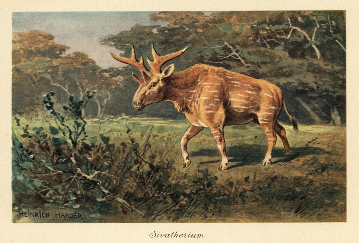 Sivatherium giganteum bir orman açıklığında. by Heinrich Harder