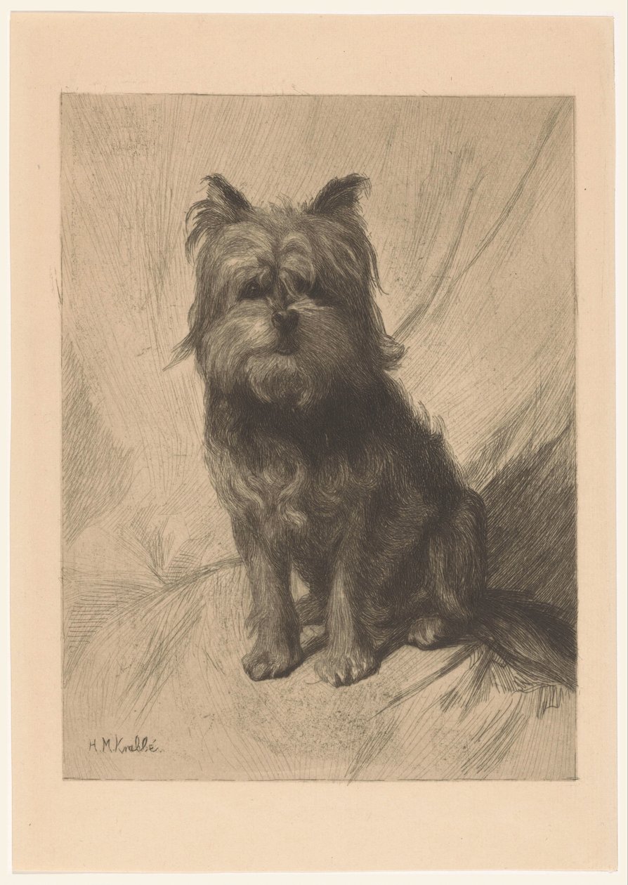 Hollandalı smoushond by Heinrich M. Krabbé