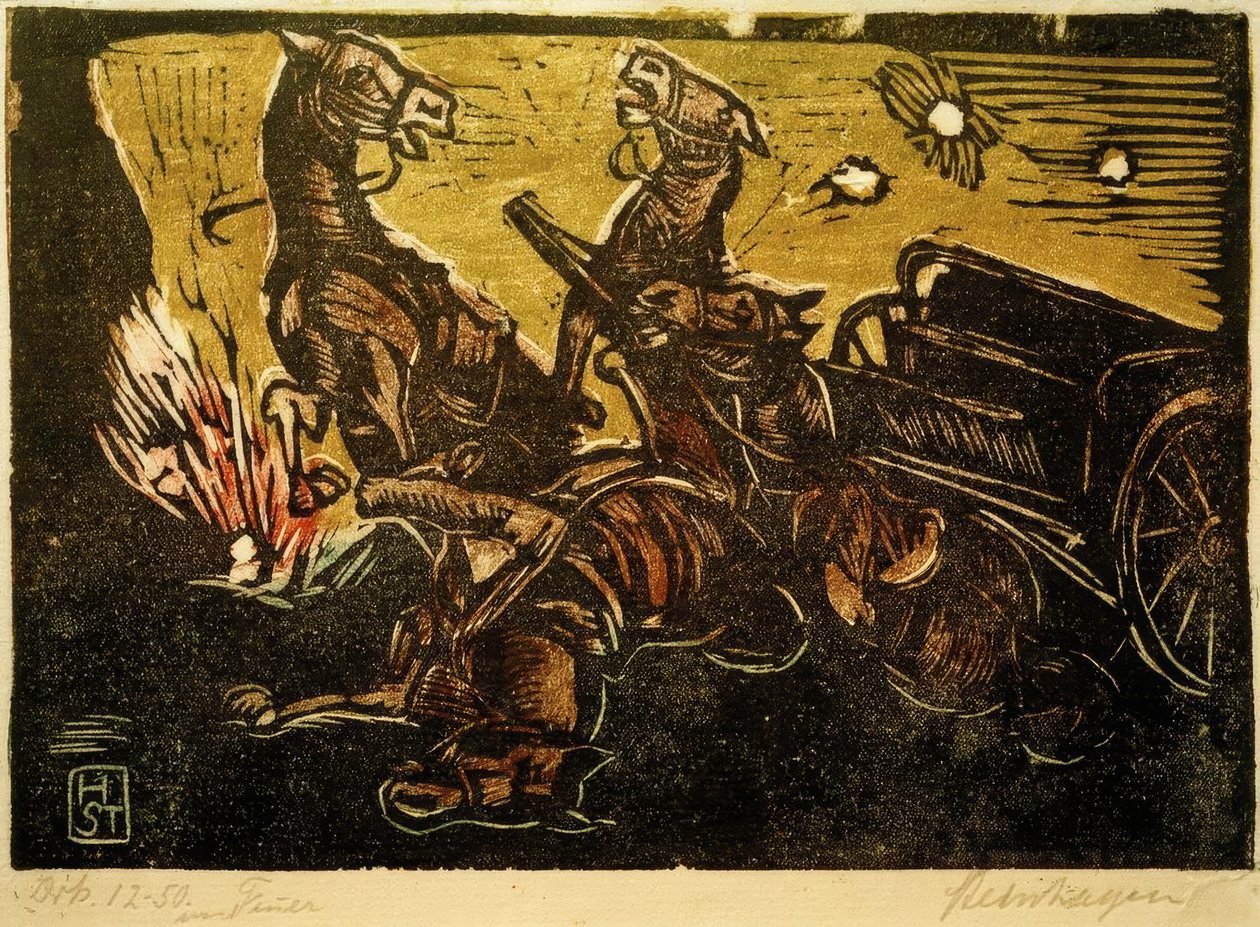 düşman topraklarında by Heinrich Steinhagen