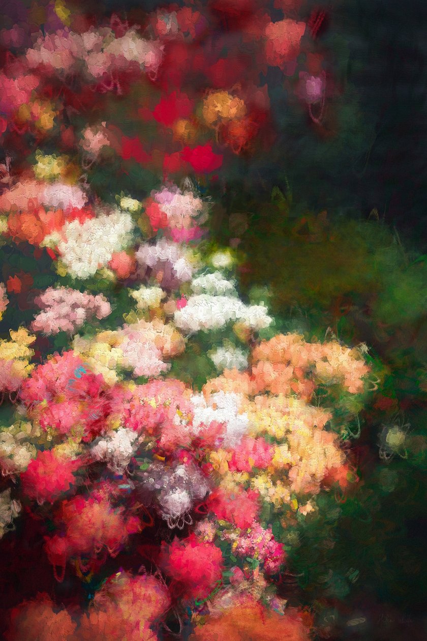 Çiçek Sınırı, 2018, by Helen White
