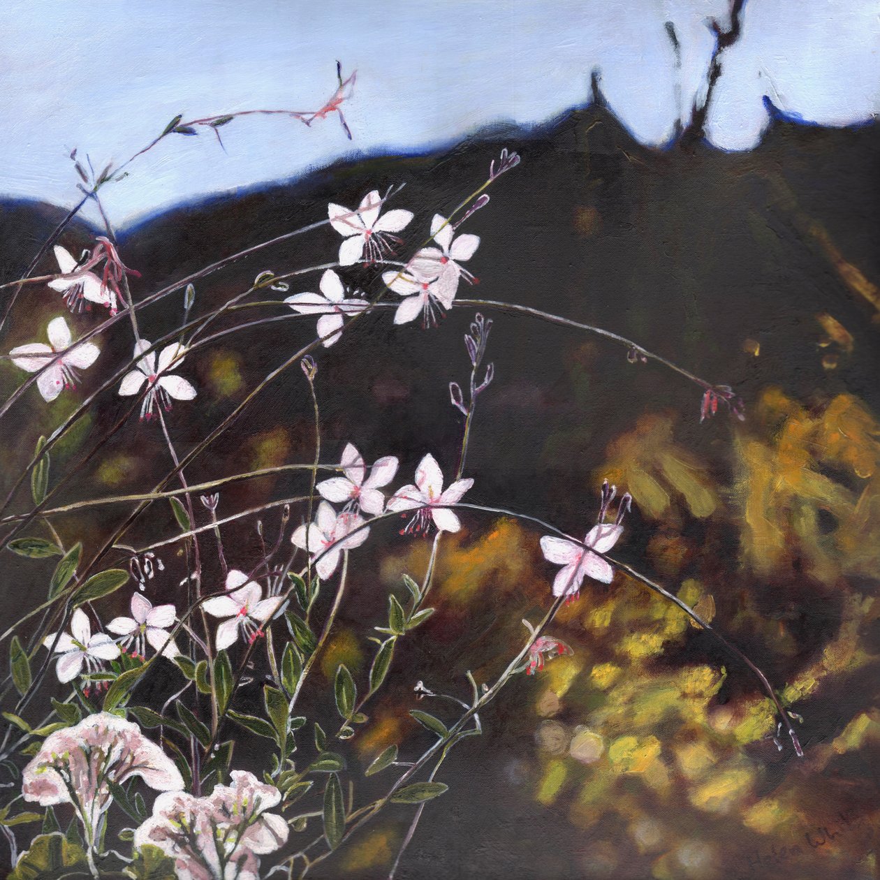 Provence bahçesi I, 2014, by Helen White