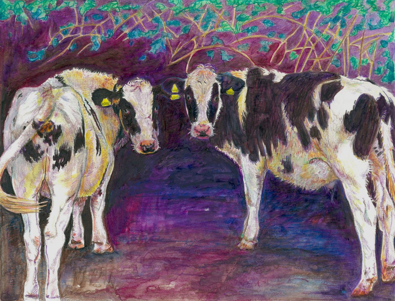 Barınaktaki inekler, 2011, (kağıt üzerine renkli kalem) by Helen White