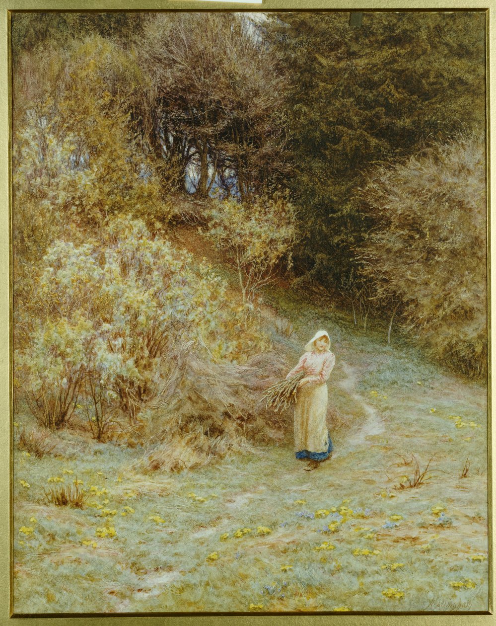 Primrose Wood
