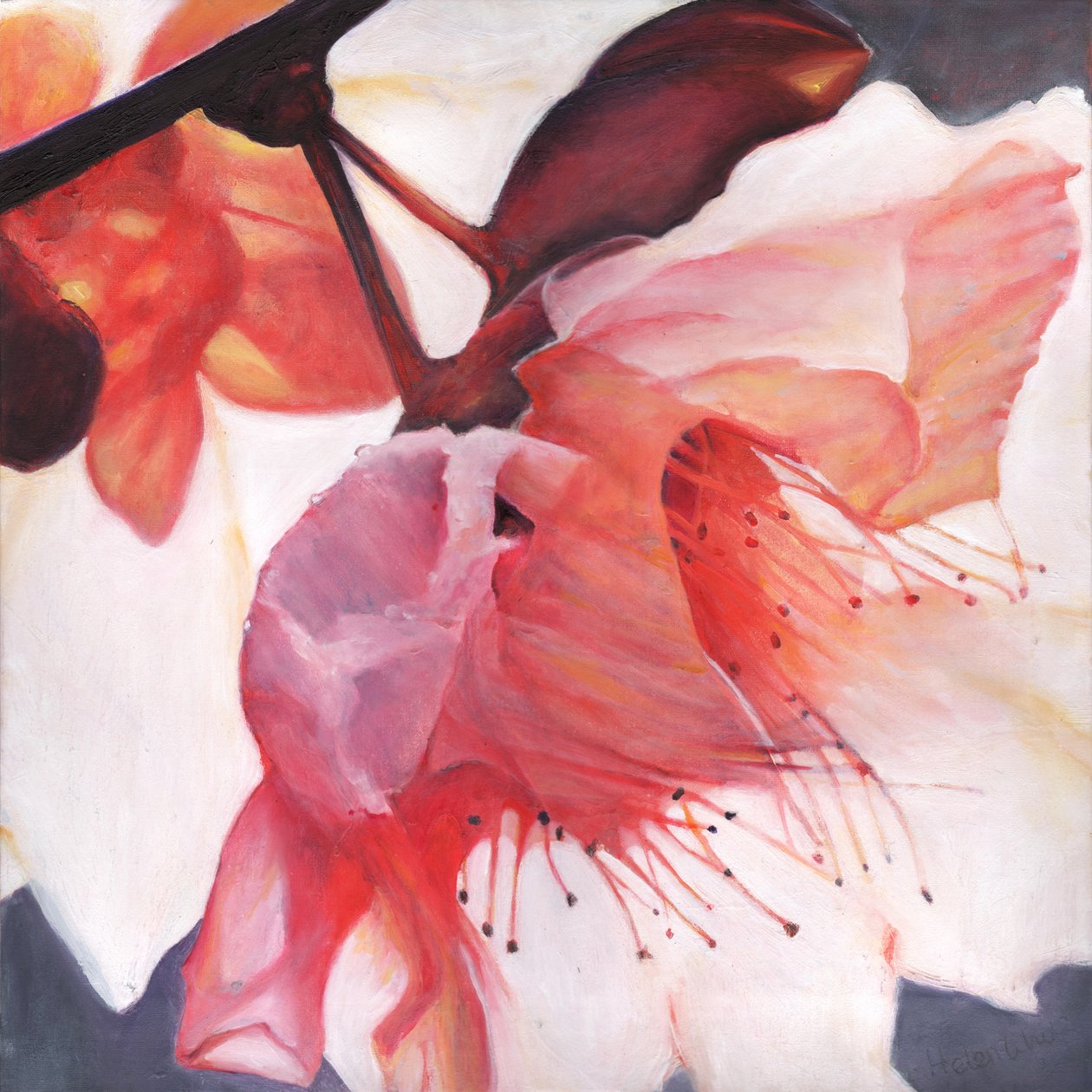 Shakti dansı, 2016, by Helen White