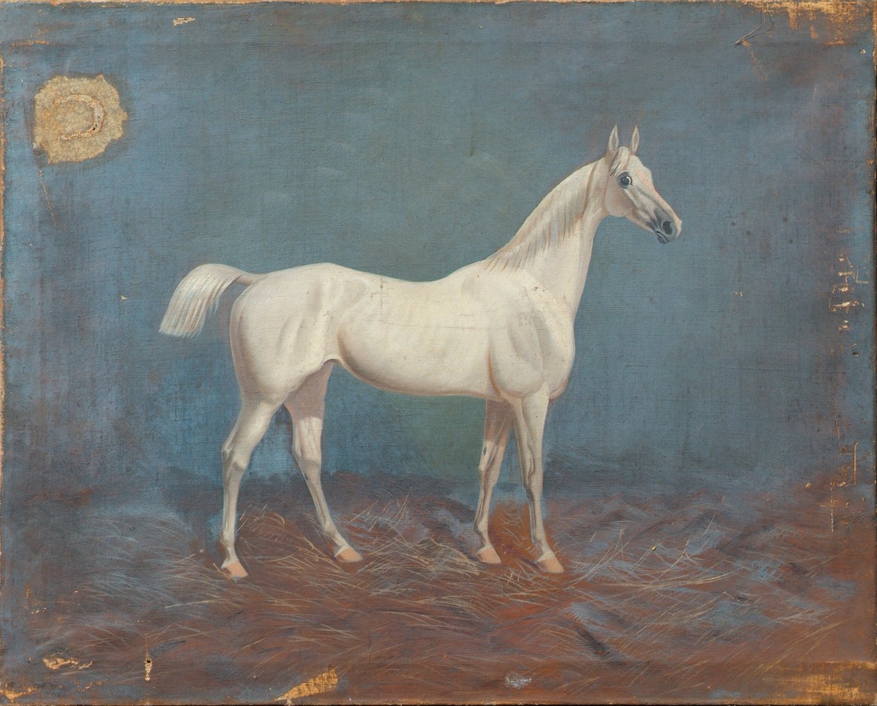 bir kalıp by Hema A. Groy