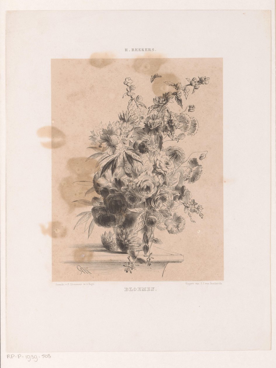 Çiçek aranjmanı by Hendrik Reekers