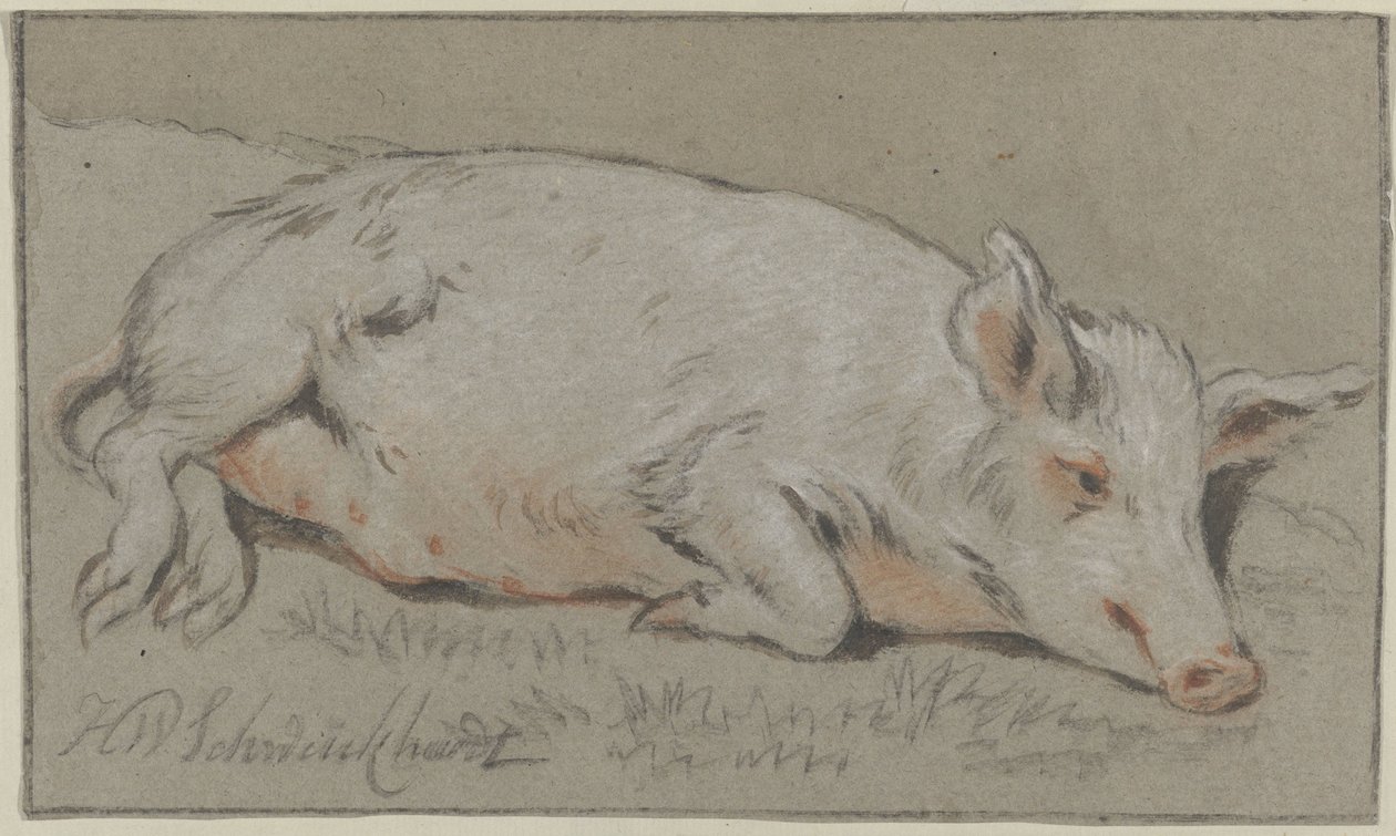 yalancı domuz by Hendrik Willem Schweickhardt (signed by artist)