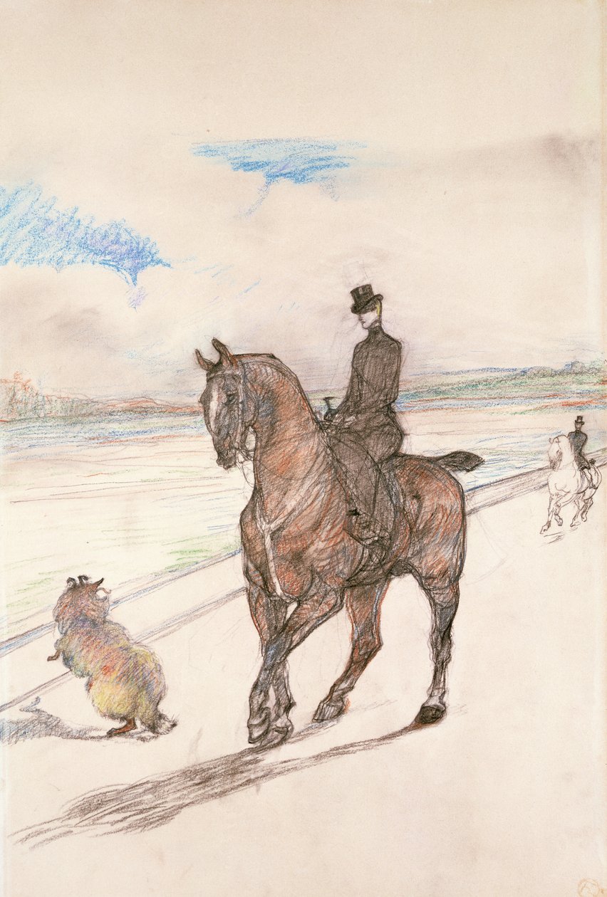 Amazon, c.1899 (kağıt üzerine renkli kalem) by Henri de Toulouse Lautrec