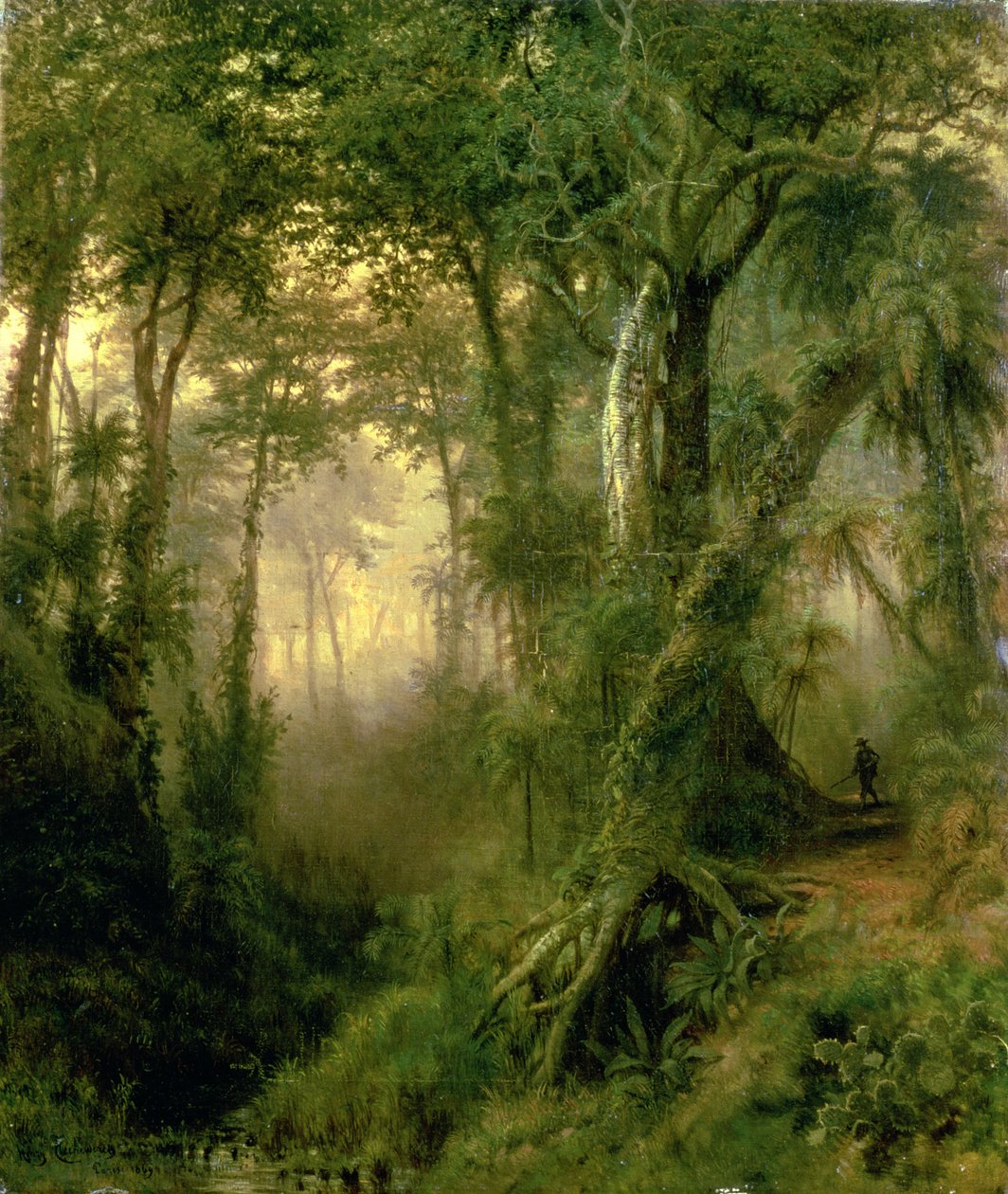 Küba Ormanında Bir Avcı, Gün Doğumu by Henri Cleenewerck