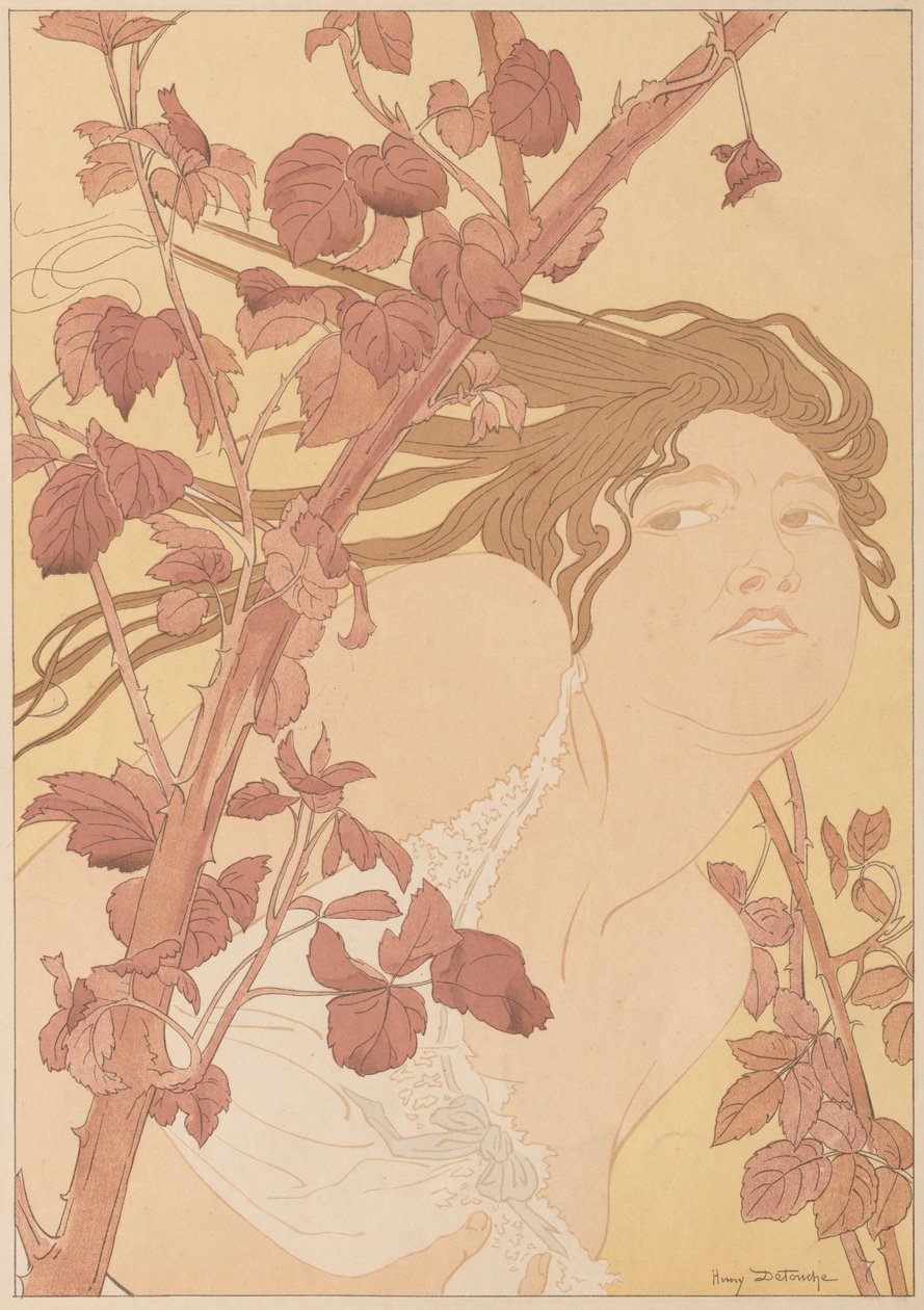 Brambles