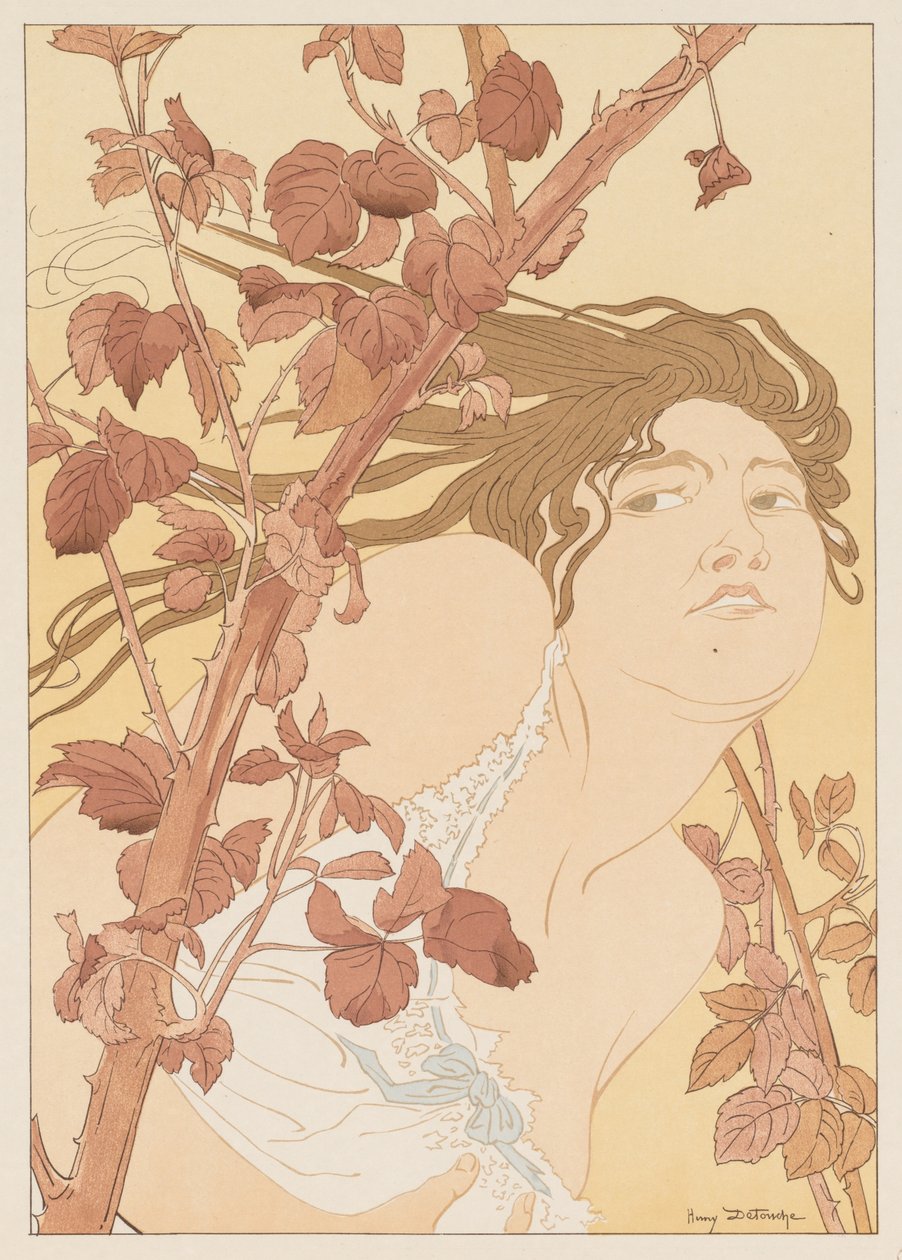 Brambles