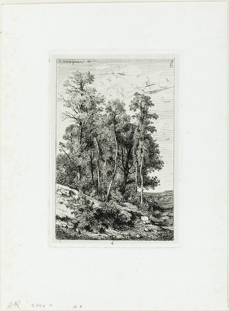 Huş ve Meşe by Henri Joseph Harpignies