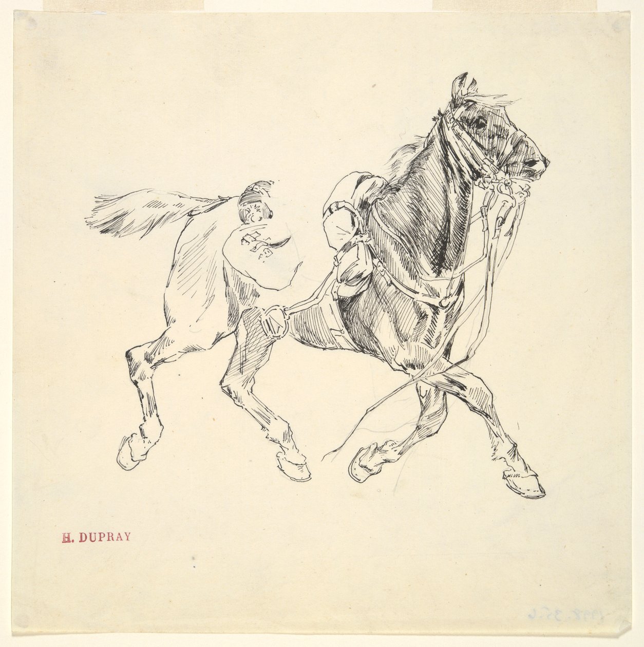 askeri at by Henri Louis Dupray