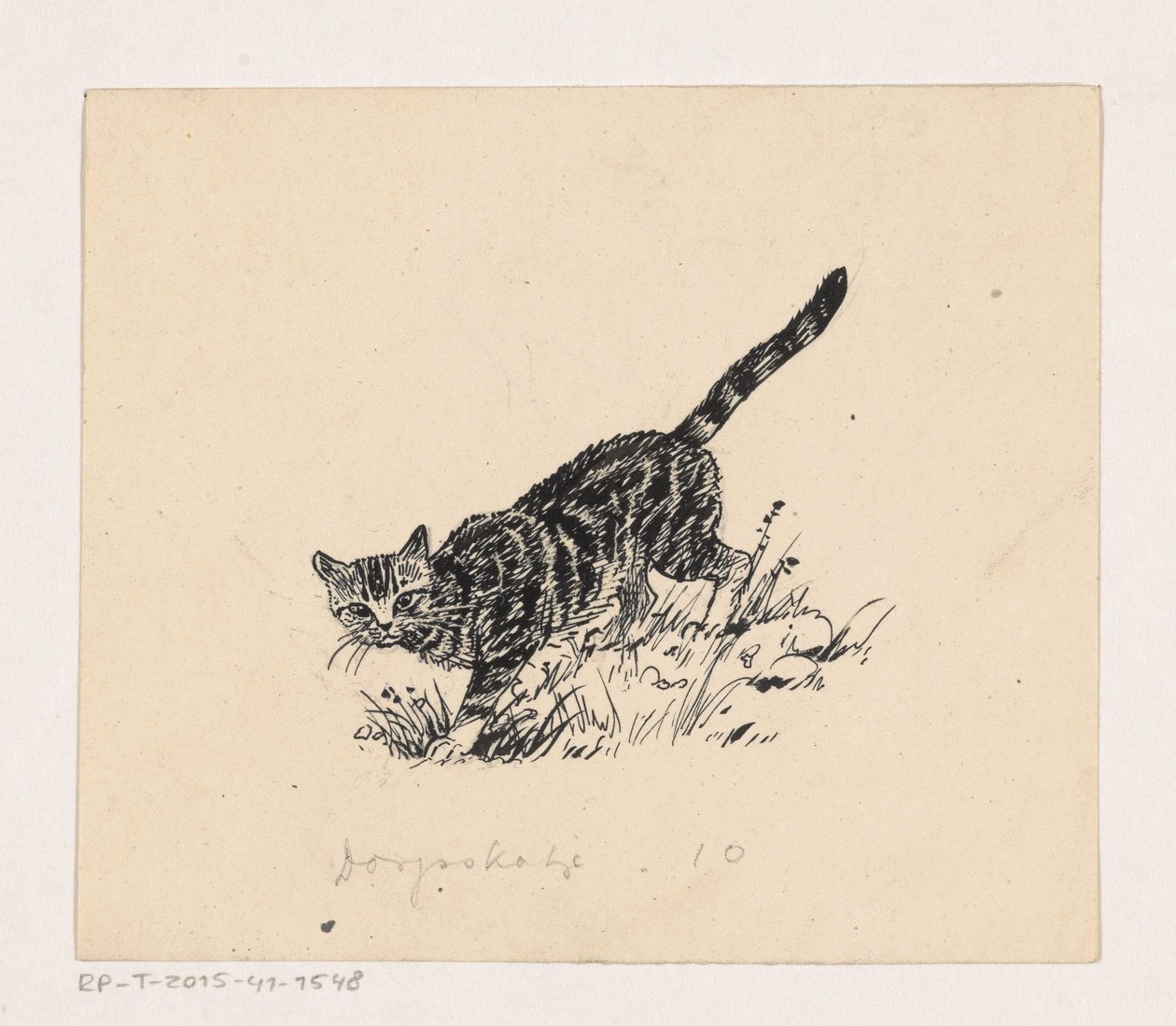 Kat by Henri Verstijnen