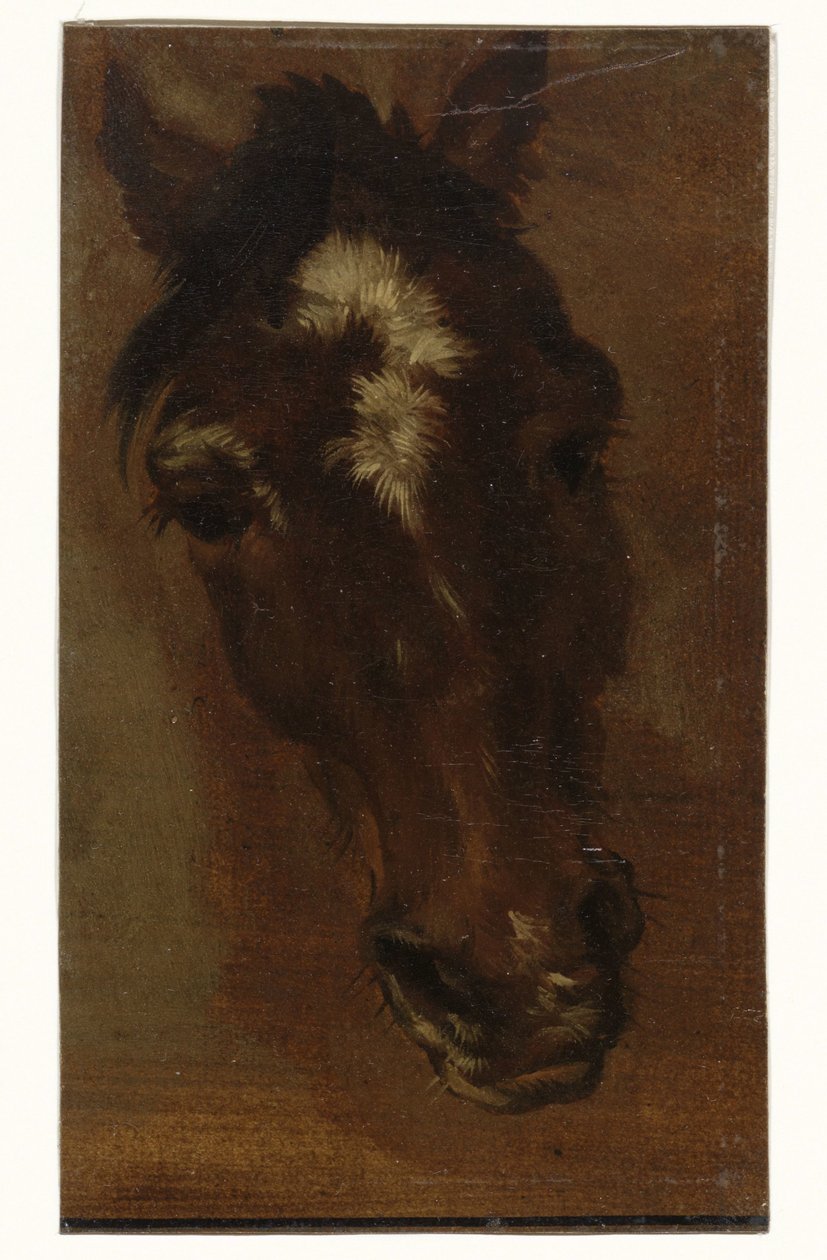 at kafası by Henriëtte Ronner