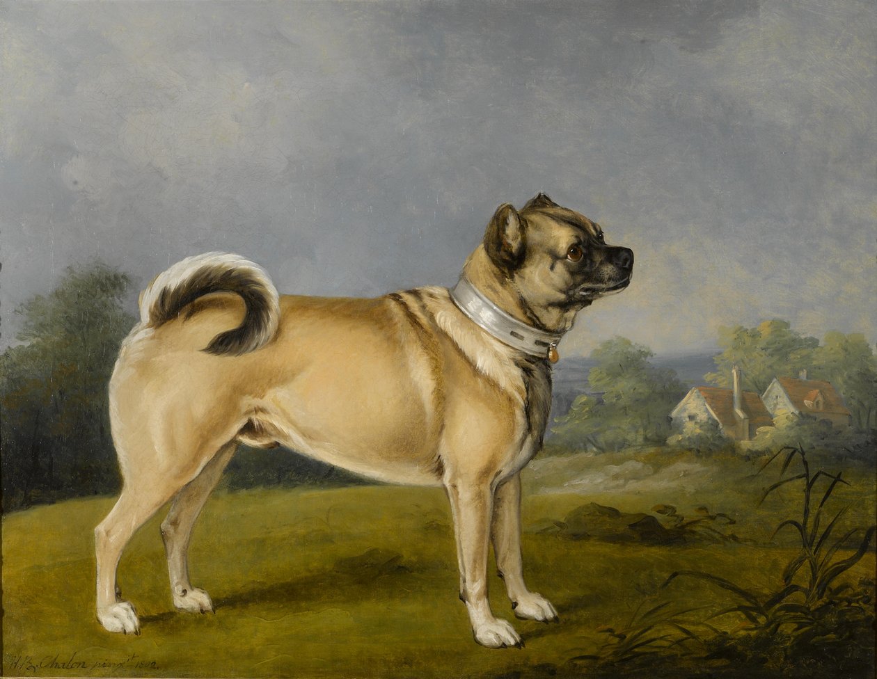 Favori bir boksör by Henry Bernard Chalon