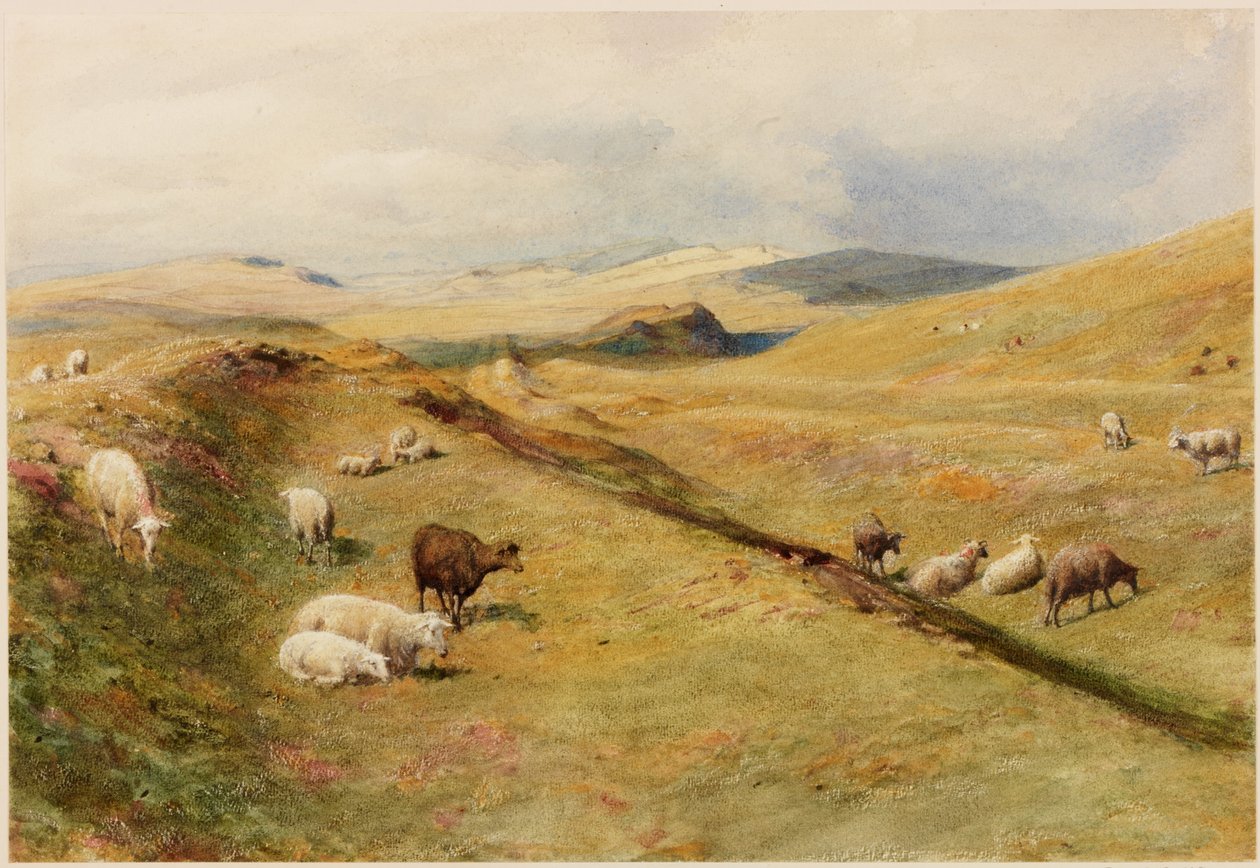 ಕ್ಯಾಸಲ್ ನಿಕ್ (ದೇಹವರ್ಣ) ಟರ್ಕ್ by Henry Burdon Richardson