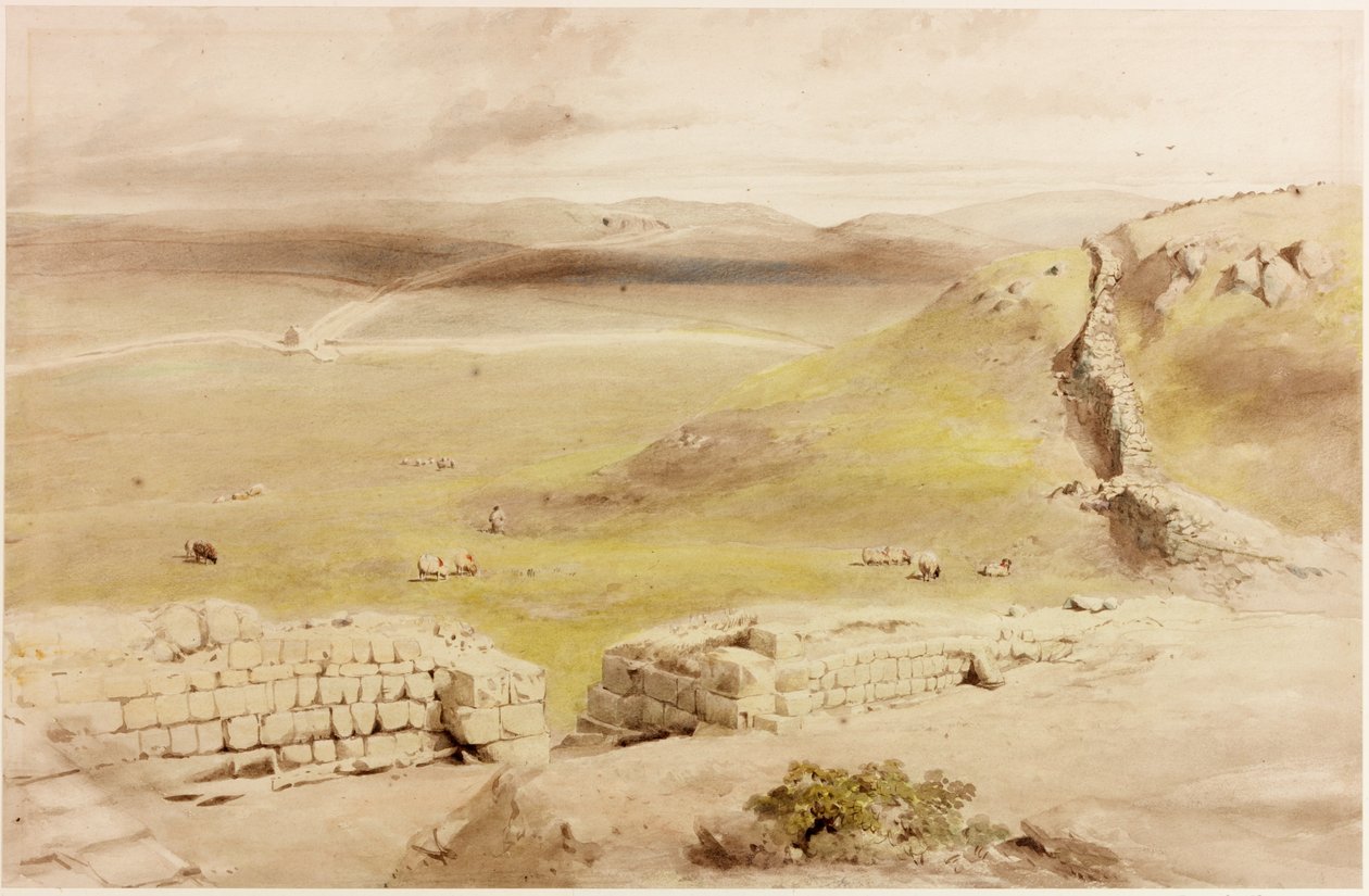 Cawfields (gövde rengi) by Henry Burdon Richardson