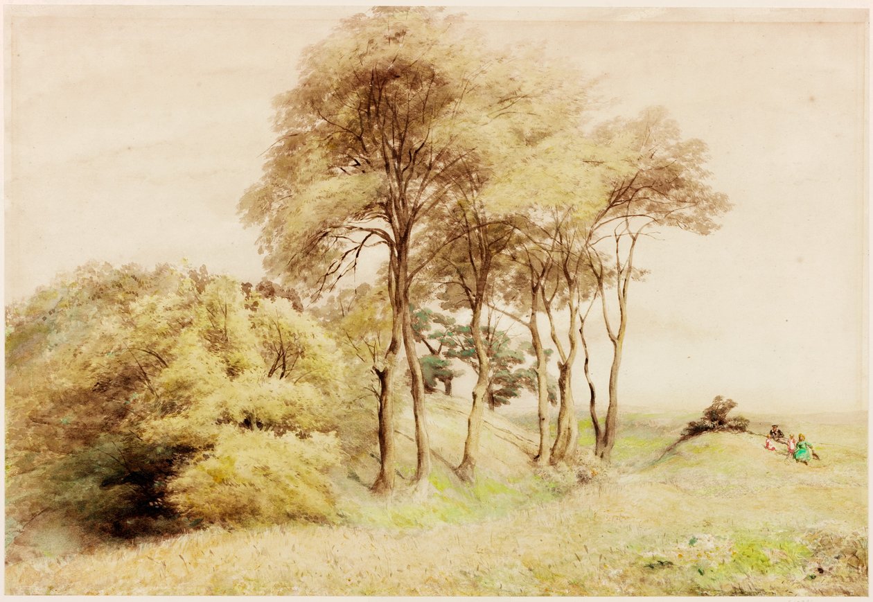 ಡ್ರಮ್‌ಬರ್ಗ್ (ದೇಹವರ್ಣ) ಟರ್ಕ್ by Henry Burdon Richardson