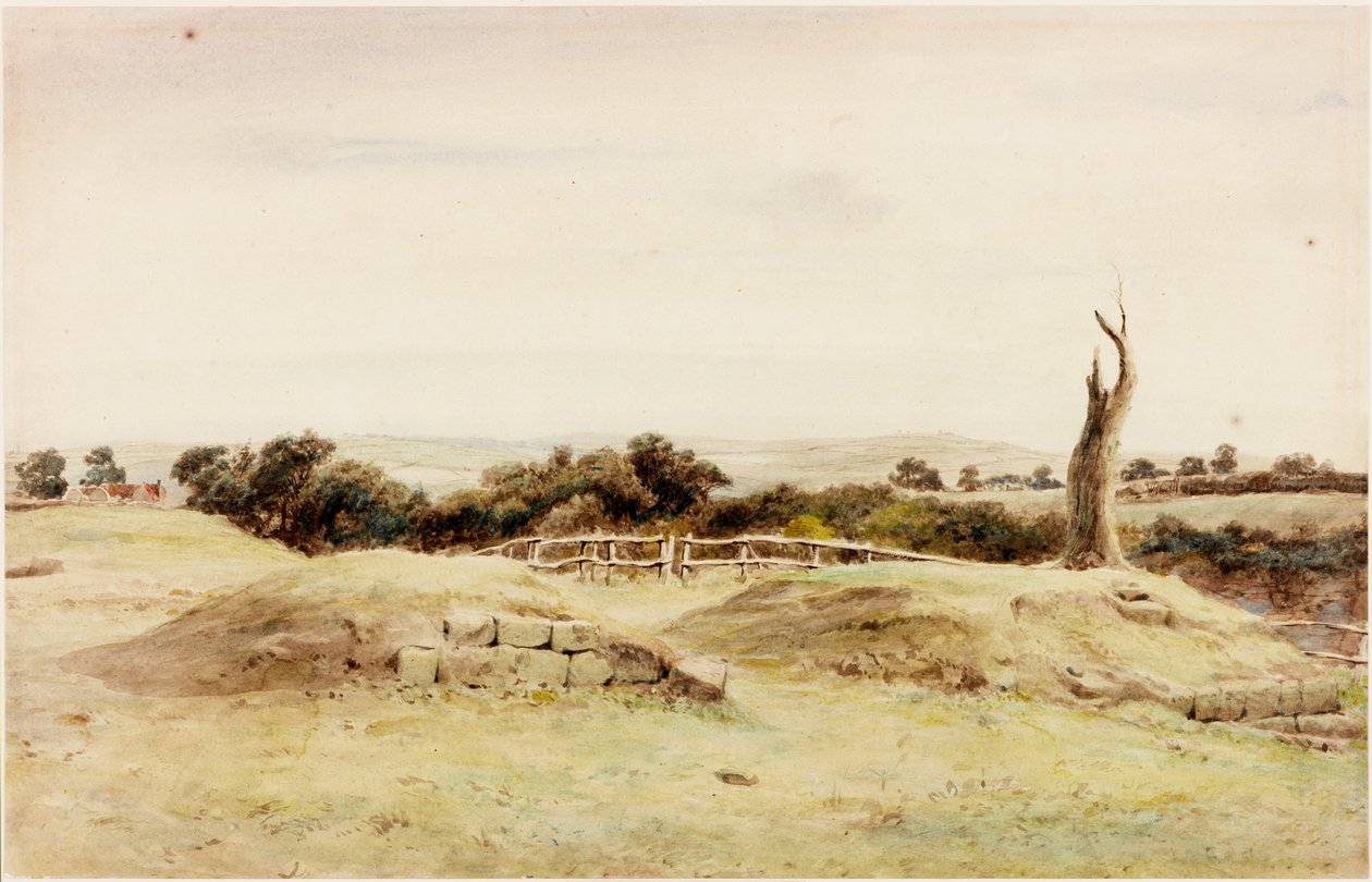 Doğu Denton (gövde rengi) by Henry Burdon Richardson