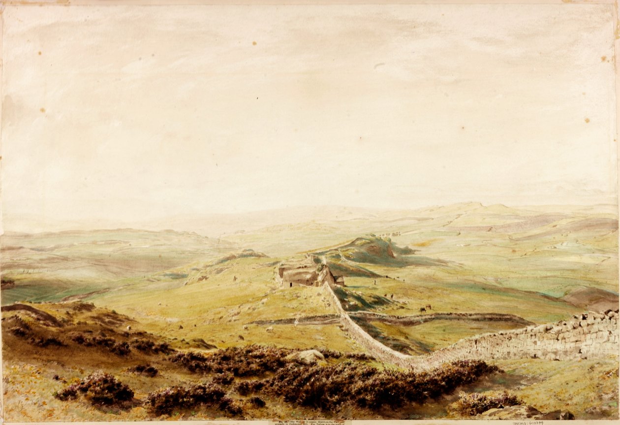 Duvarda Kalkan (gövde rengi) by Henry Burdon Richardson