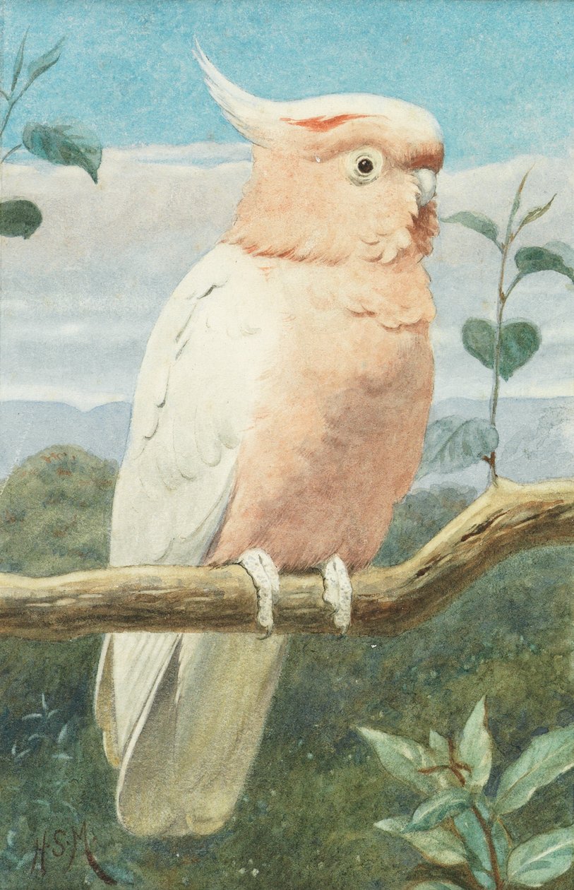 ಎ ಲೀಡ್‌ಬೆಟರ್ಸ್ ಕಾಕಟೂ ಟರ್ಕ್ by Henry Stacey Marks