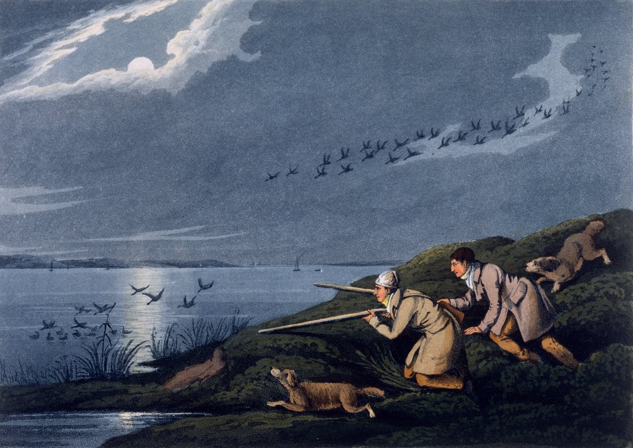 Yaban Tavuğu Avı, 1820 by Henry Thomas Alken