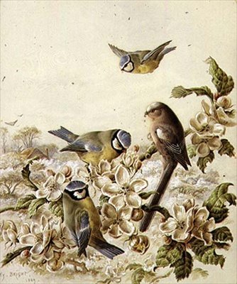 meyve bahçesi soyguncuları by Henry Bright