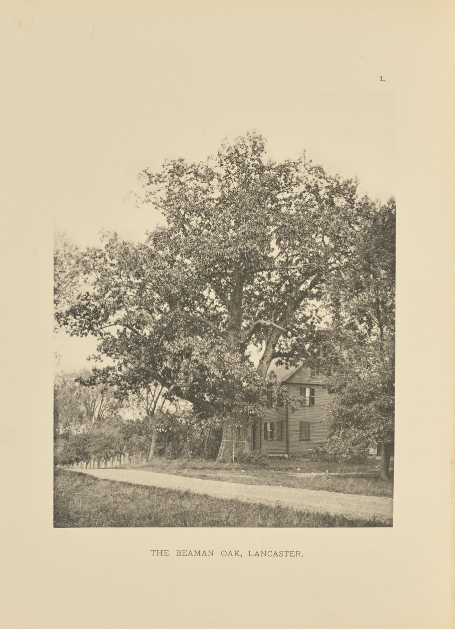  by Henry Brooks